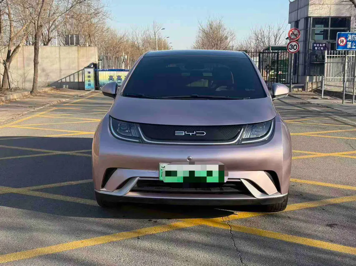 BYD Dolphin  из Китая