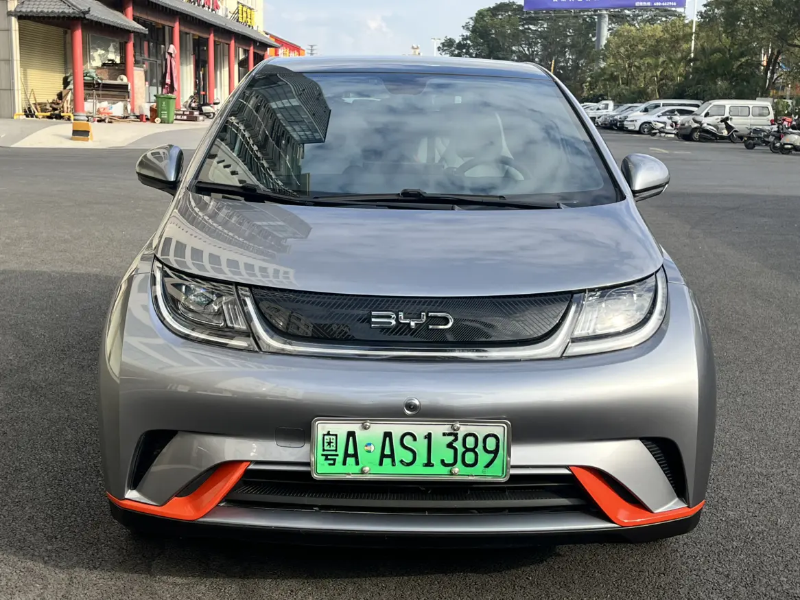 BYD Dolphin  из Китая