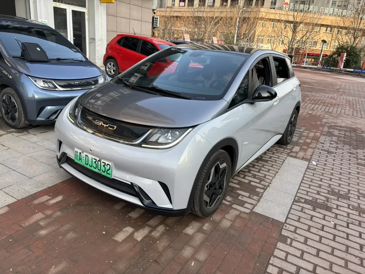BYD Dolphin  из Китая