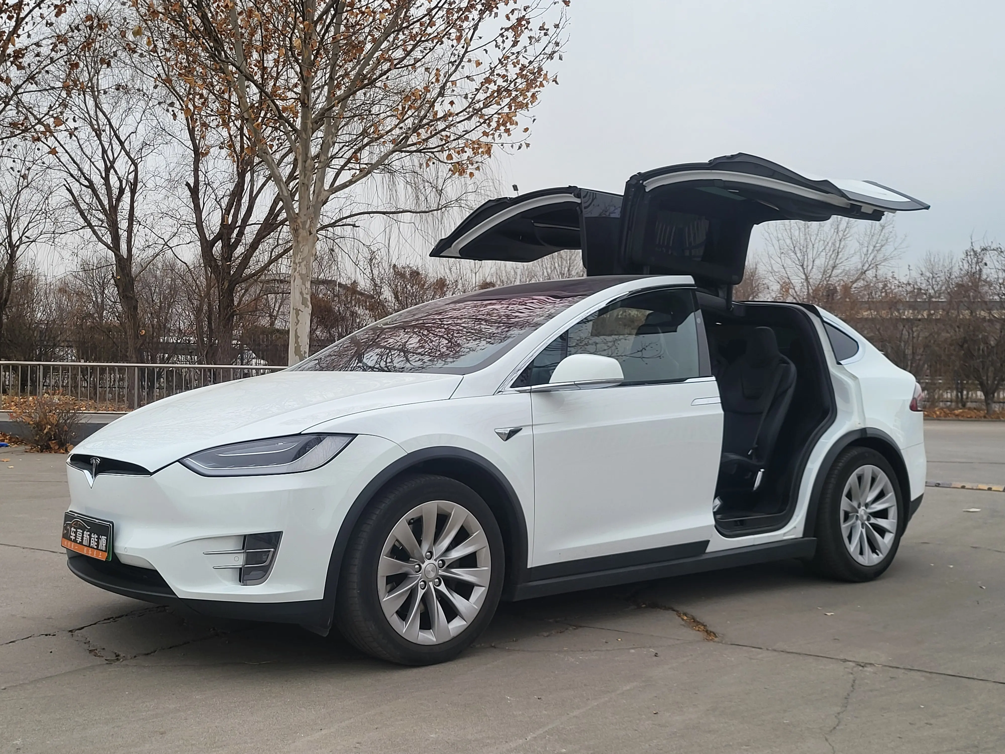 Tesla Model X  из Китая