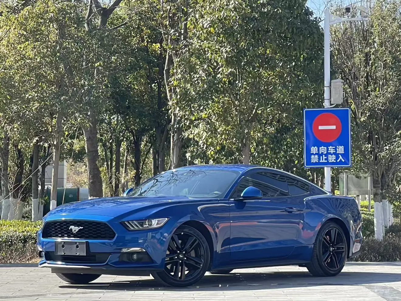 Ford Mustang  из Китая