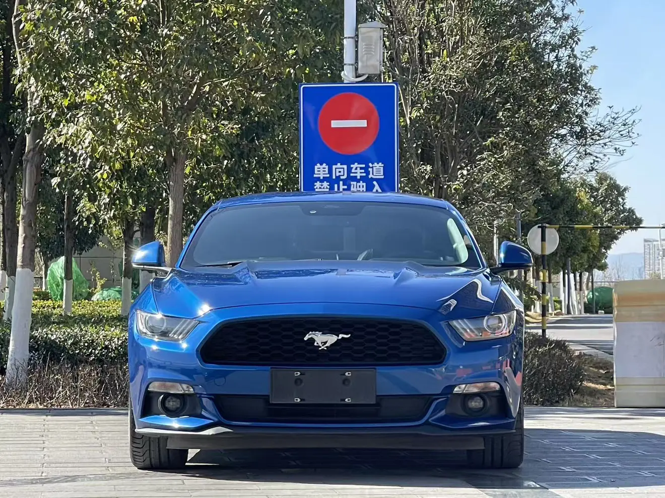 Ford Mustang  из Китая