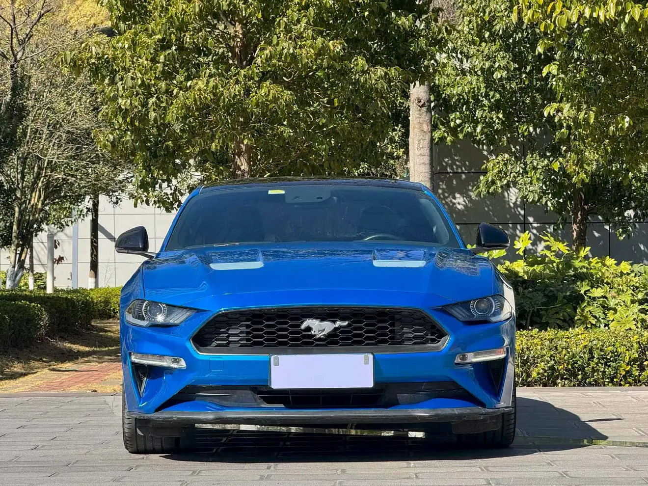 Ford Mustang  из Китая