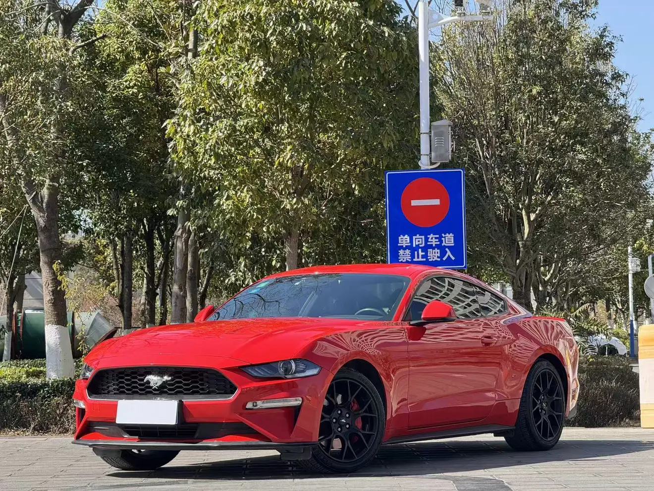 Ford Mustang  из Китая
