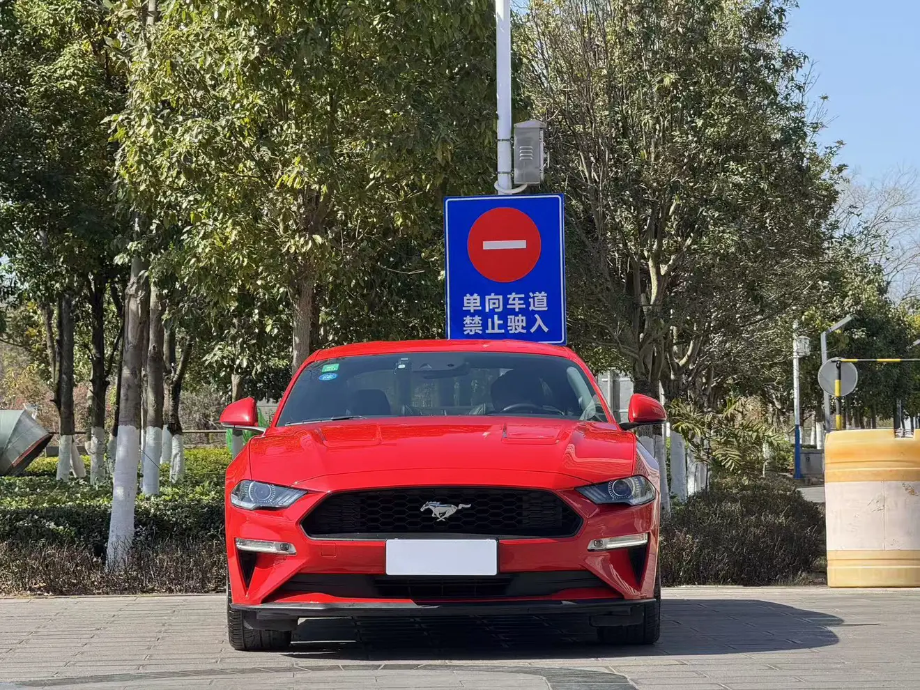 Ford Mustang  из Китая