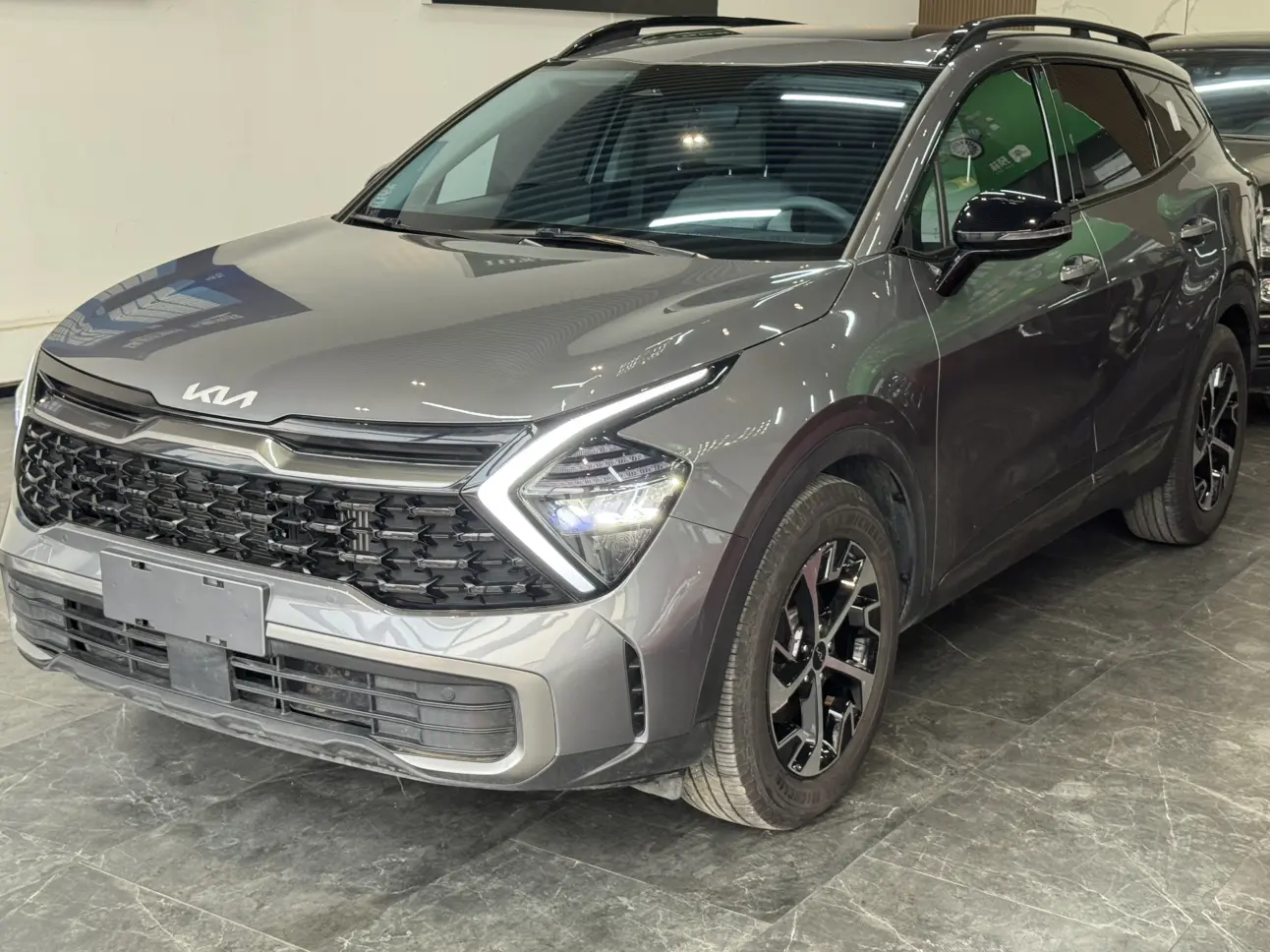 Kia Lion Platinum Expands the Boundary  из Китая