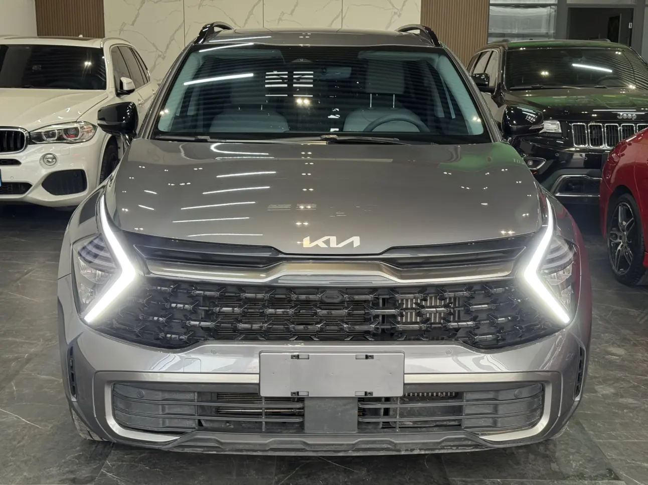 Kia Lion Platinum Expands the Boundary  из Китая