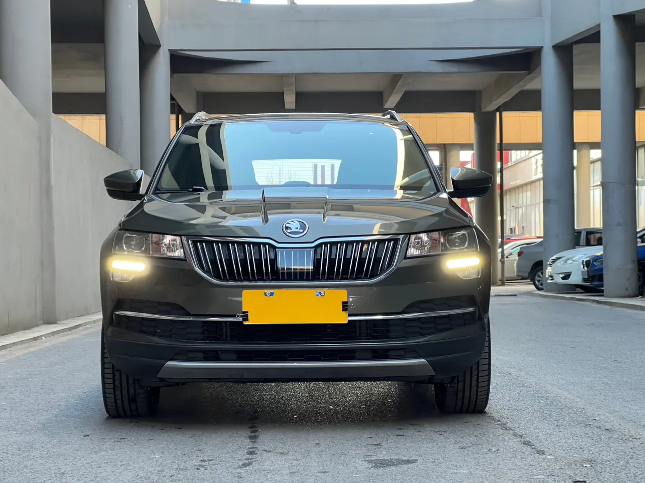 Skoda Karoq  из Китая