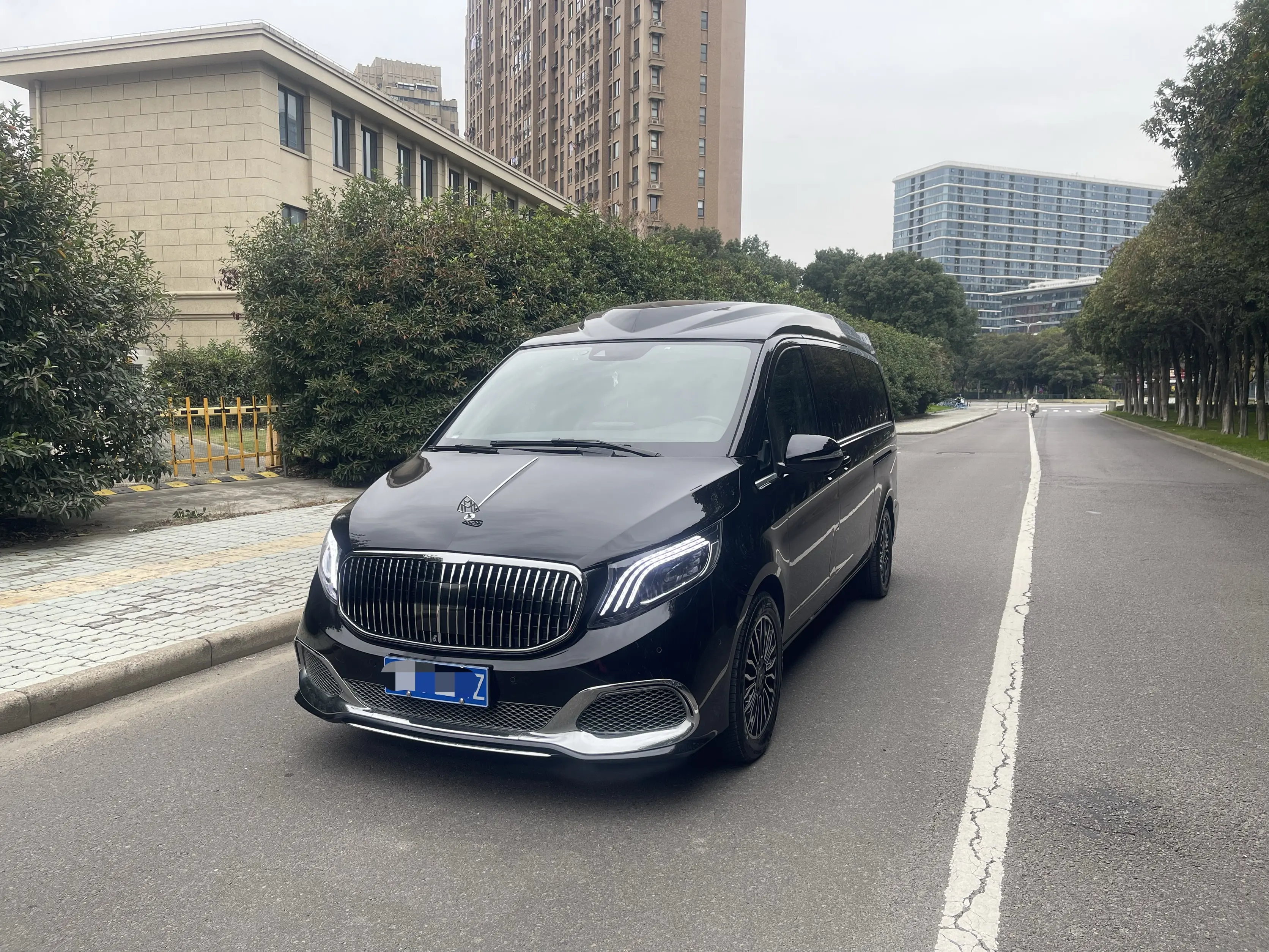 Mercedes-Benz Mercedes Benz V Class  из Китая