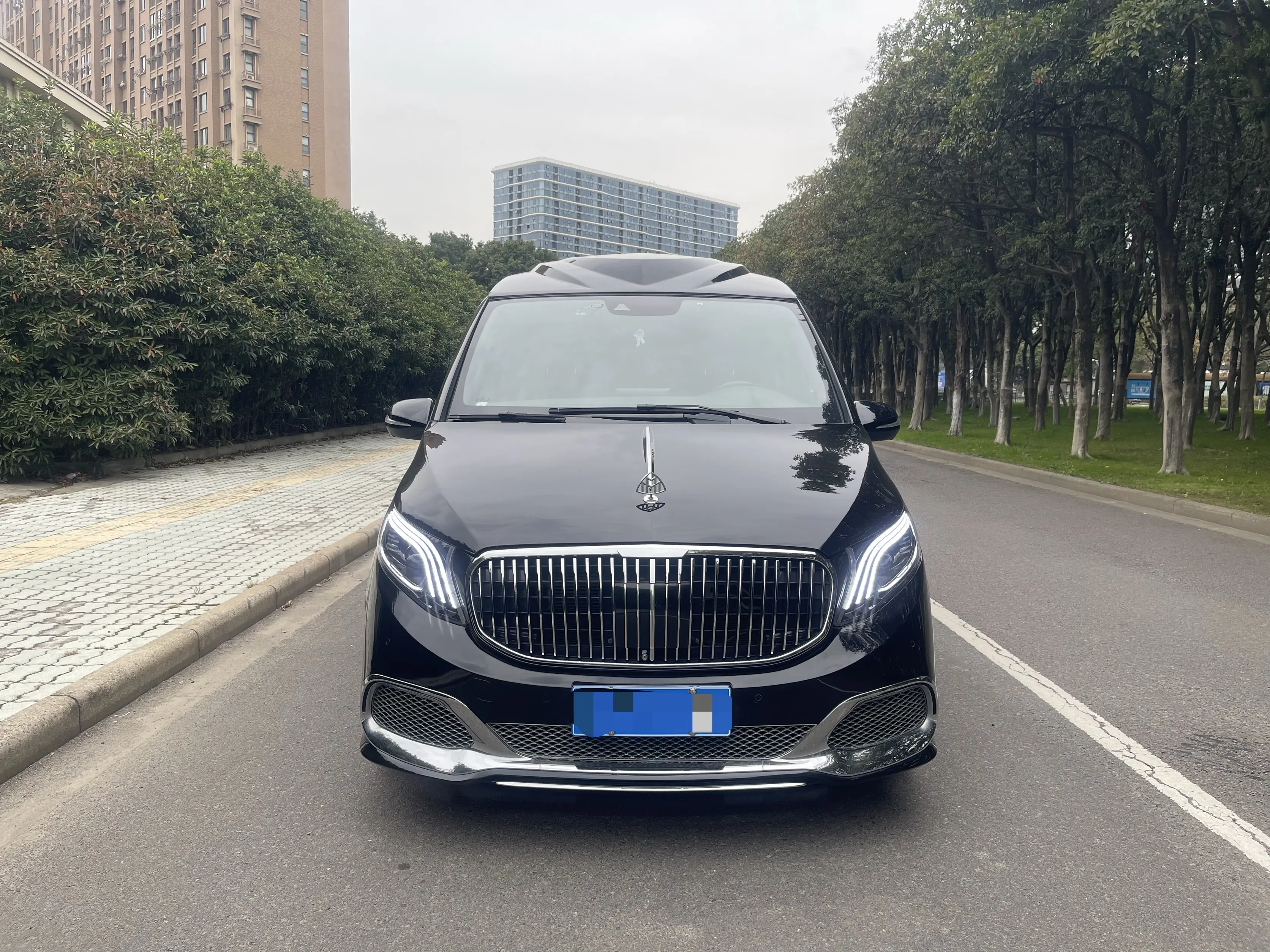 Mercedes-Benz Mercedes Benz V Class  из Китая