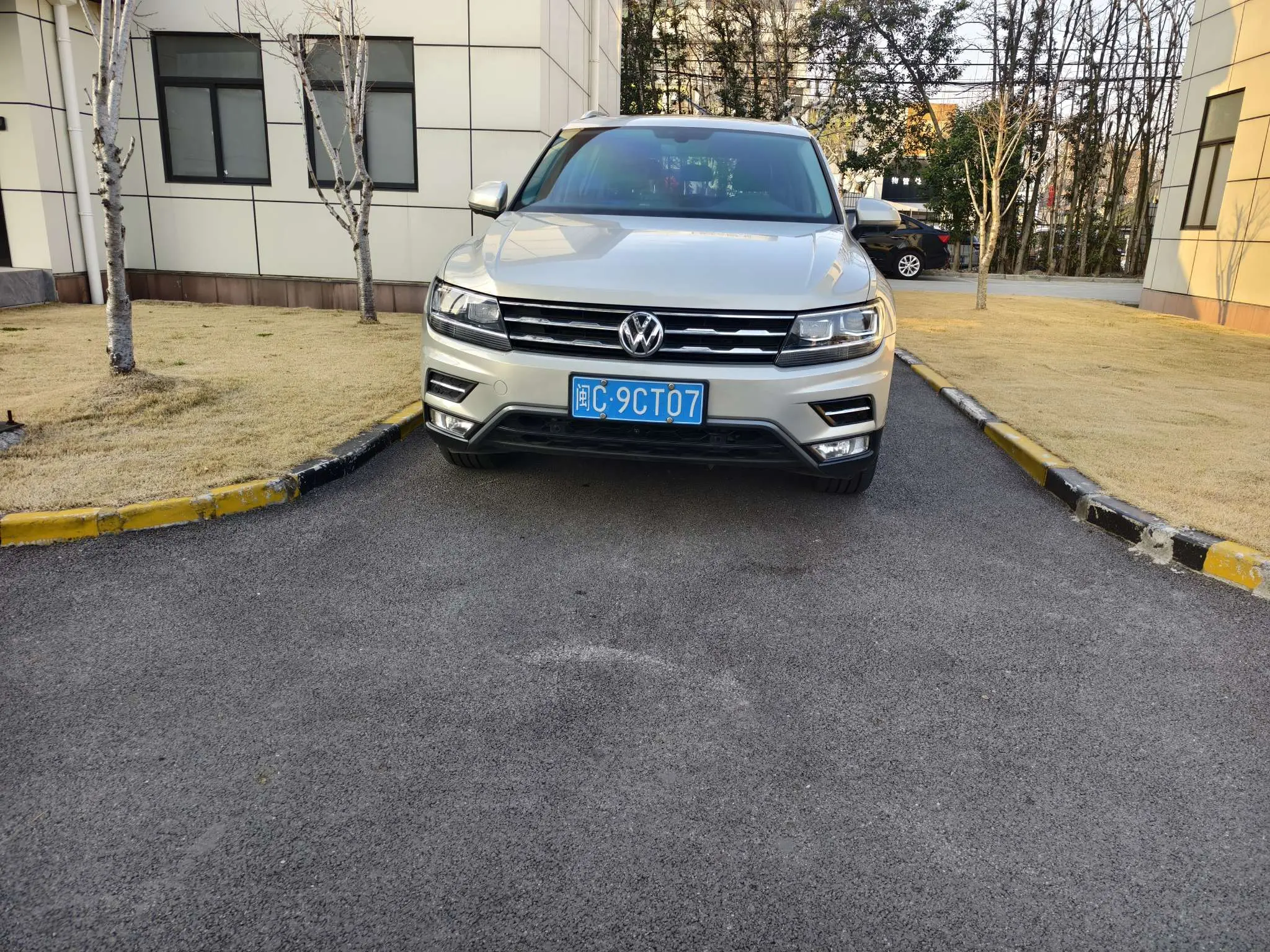 Volkswagen Tiguan L  из Китая