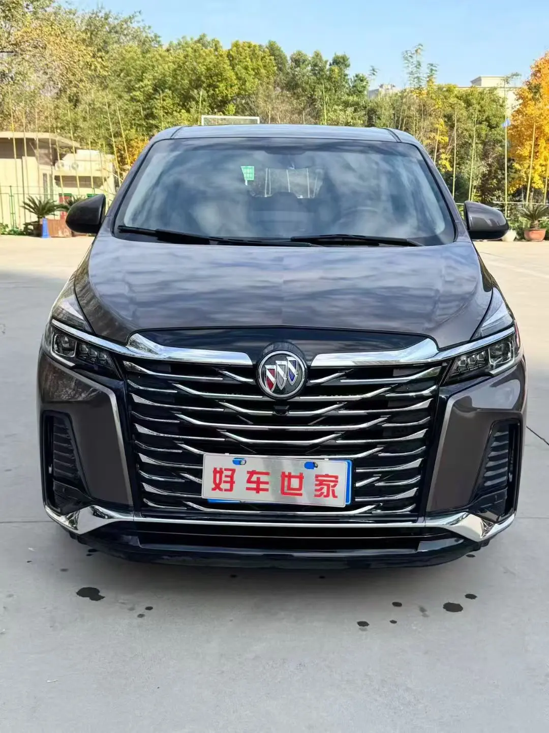 Buick GL8  из Китая