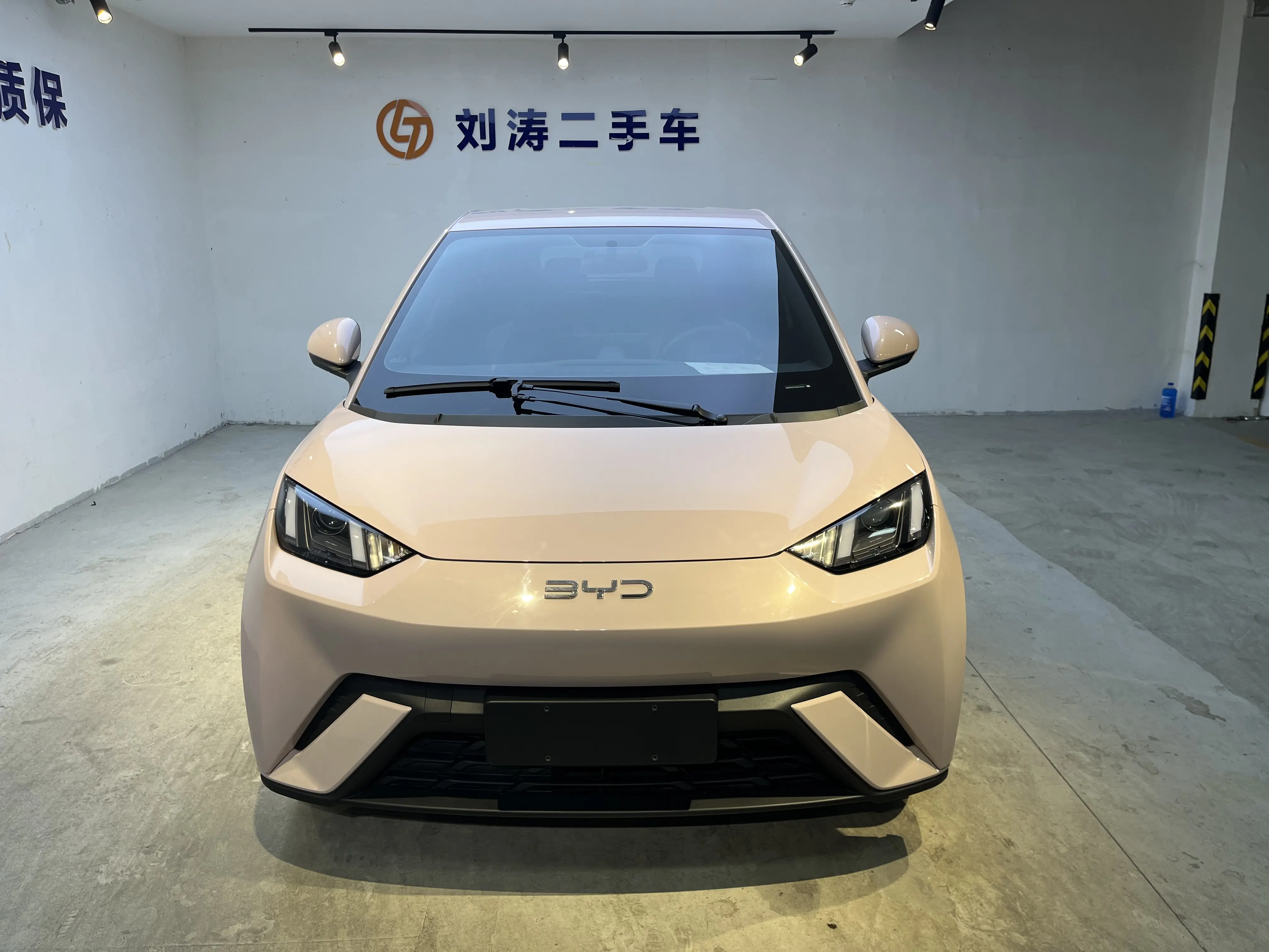 BYD Seagull  из Китая