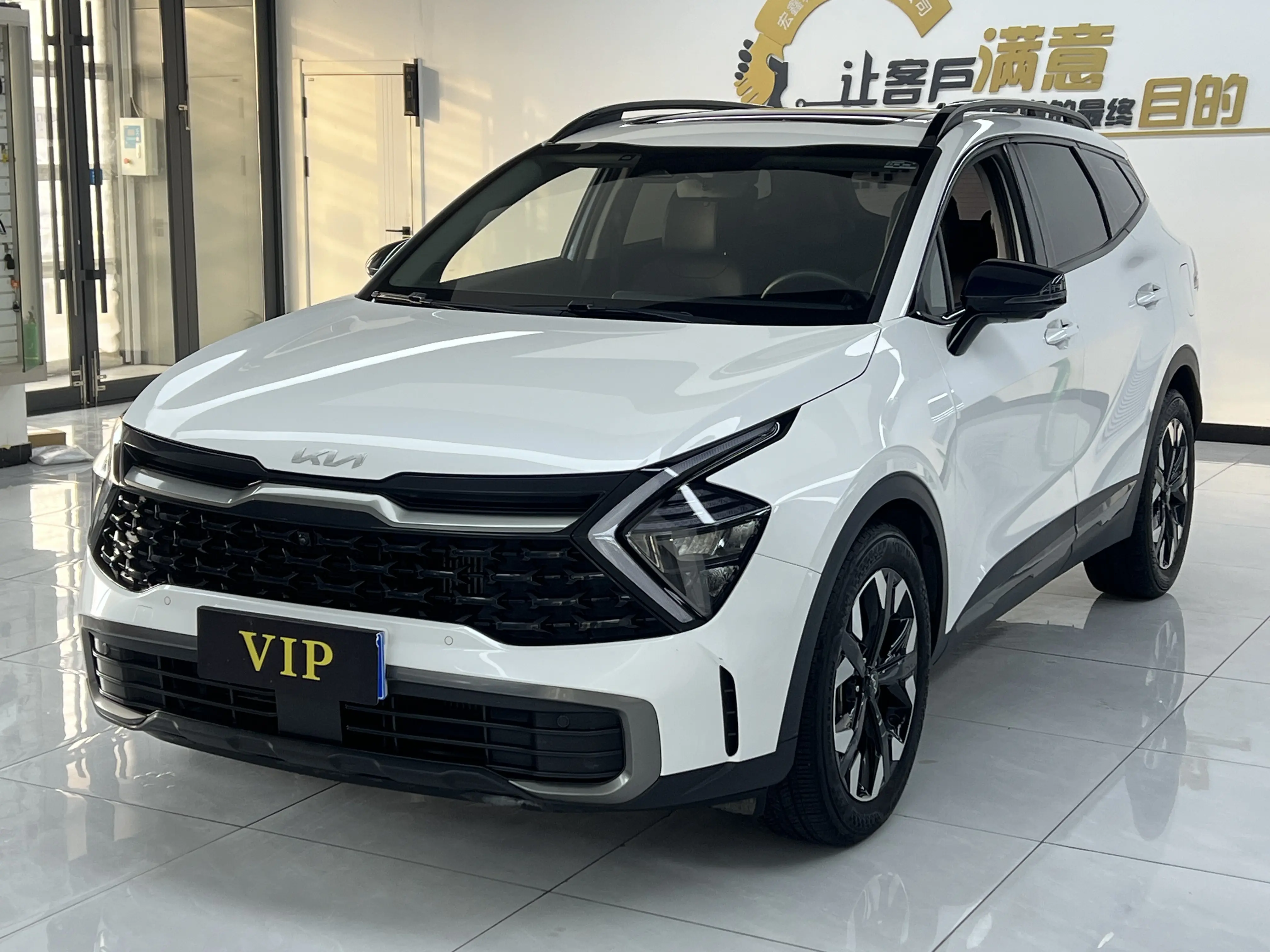 Kia Lion Platinum Expands the Boundary  из Китая