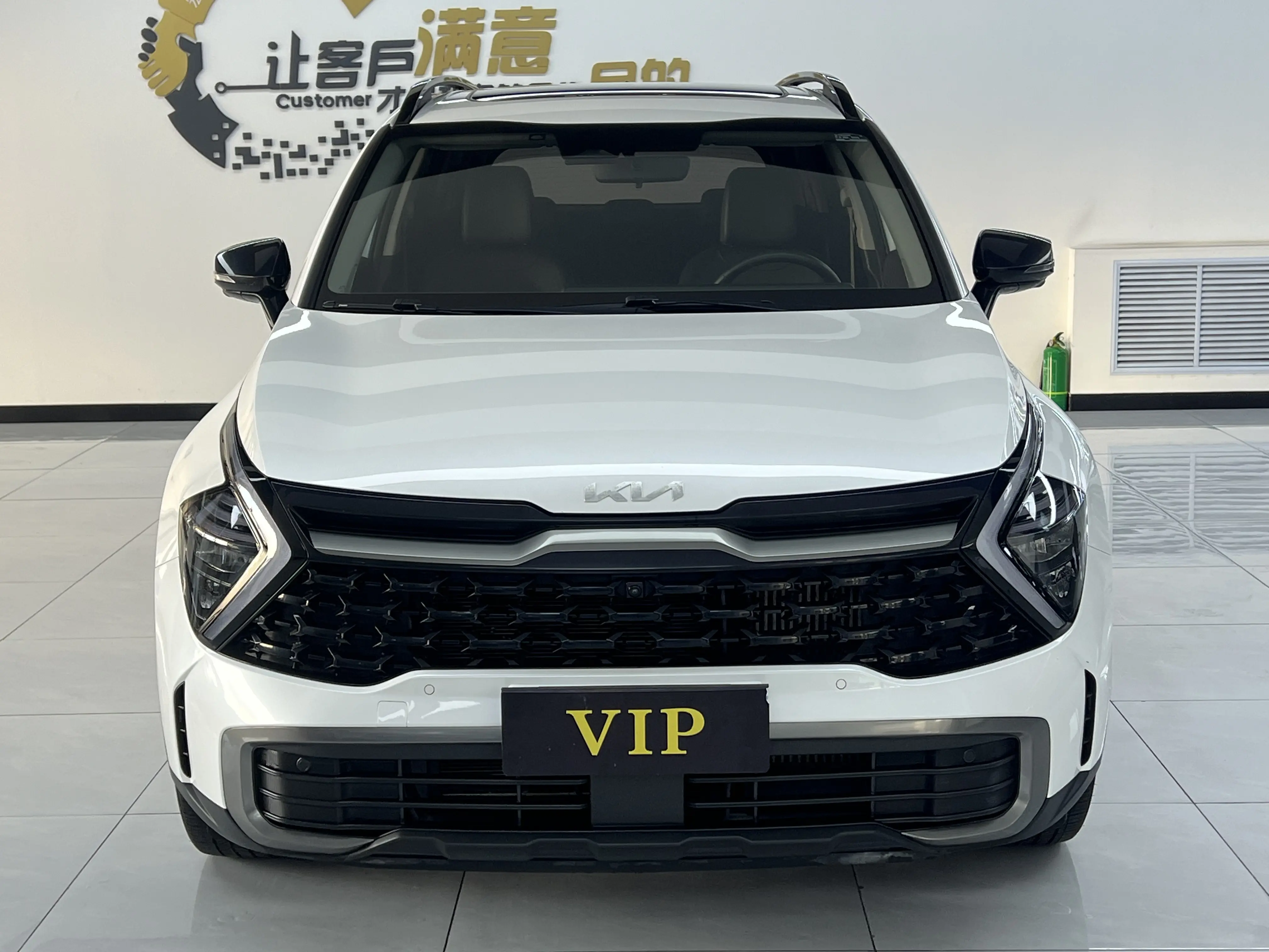 Kia Lion Platinum Expands the Boundary  из Китая