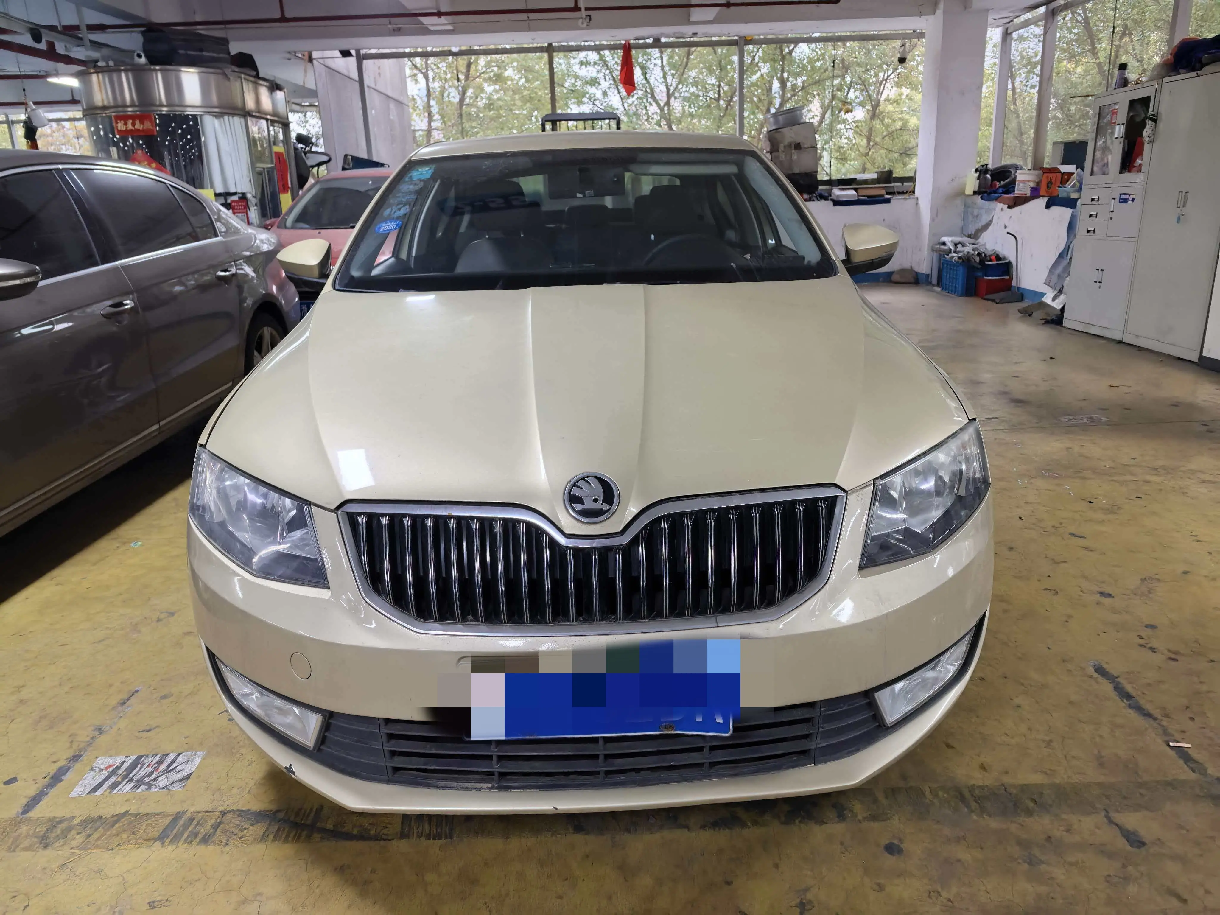 Skoda Octavia  из Китая