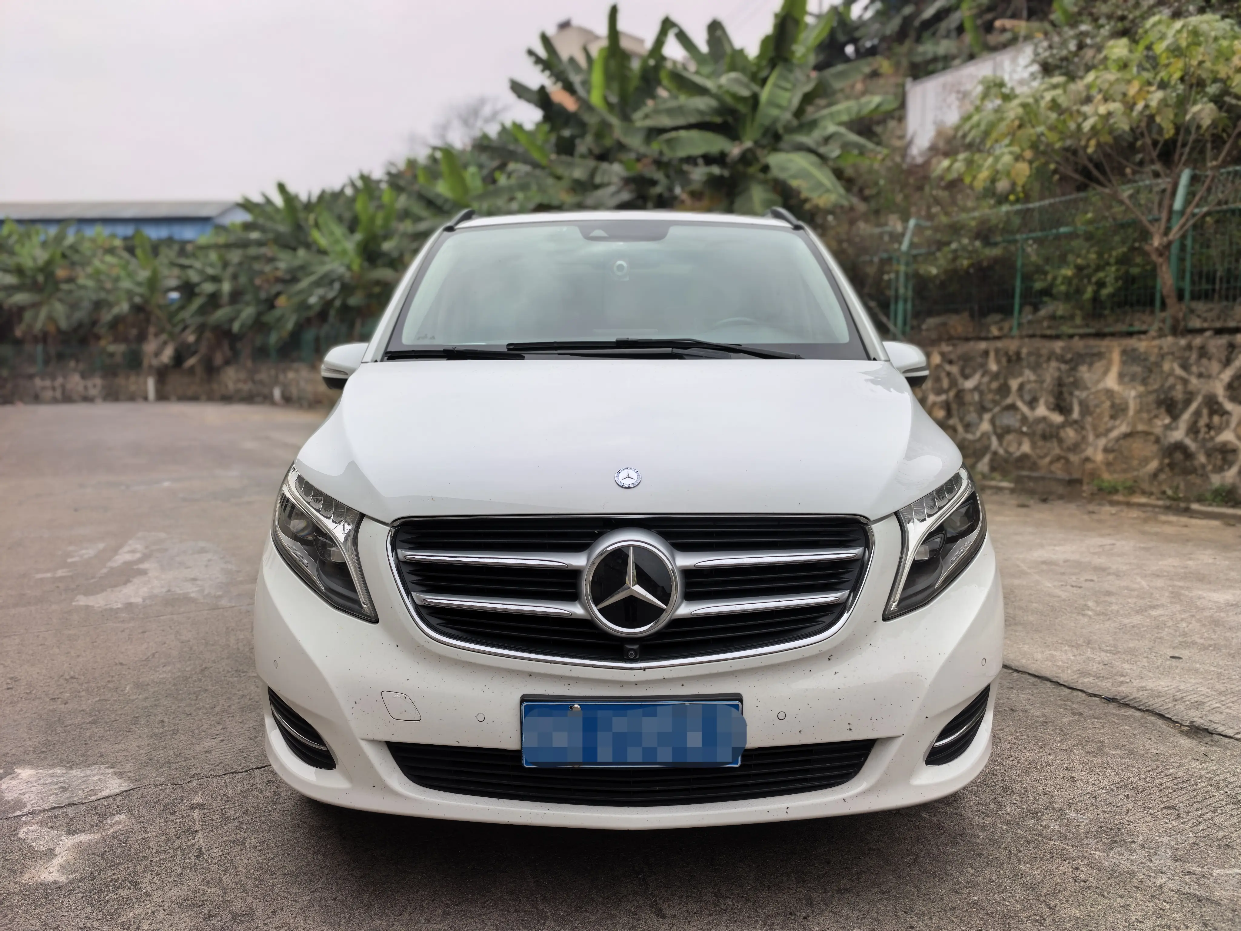 Mercedes-Benz Mercedes Benz V Class  из Китая