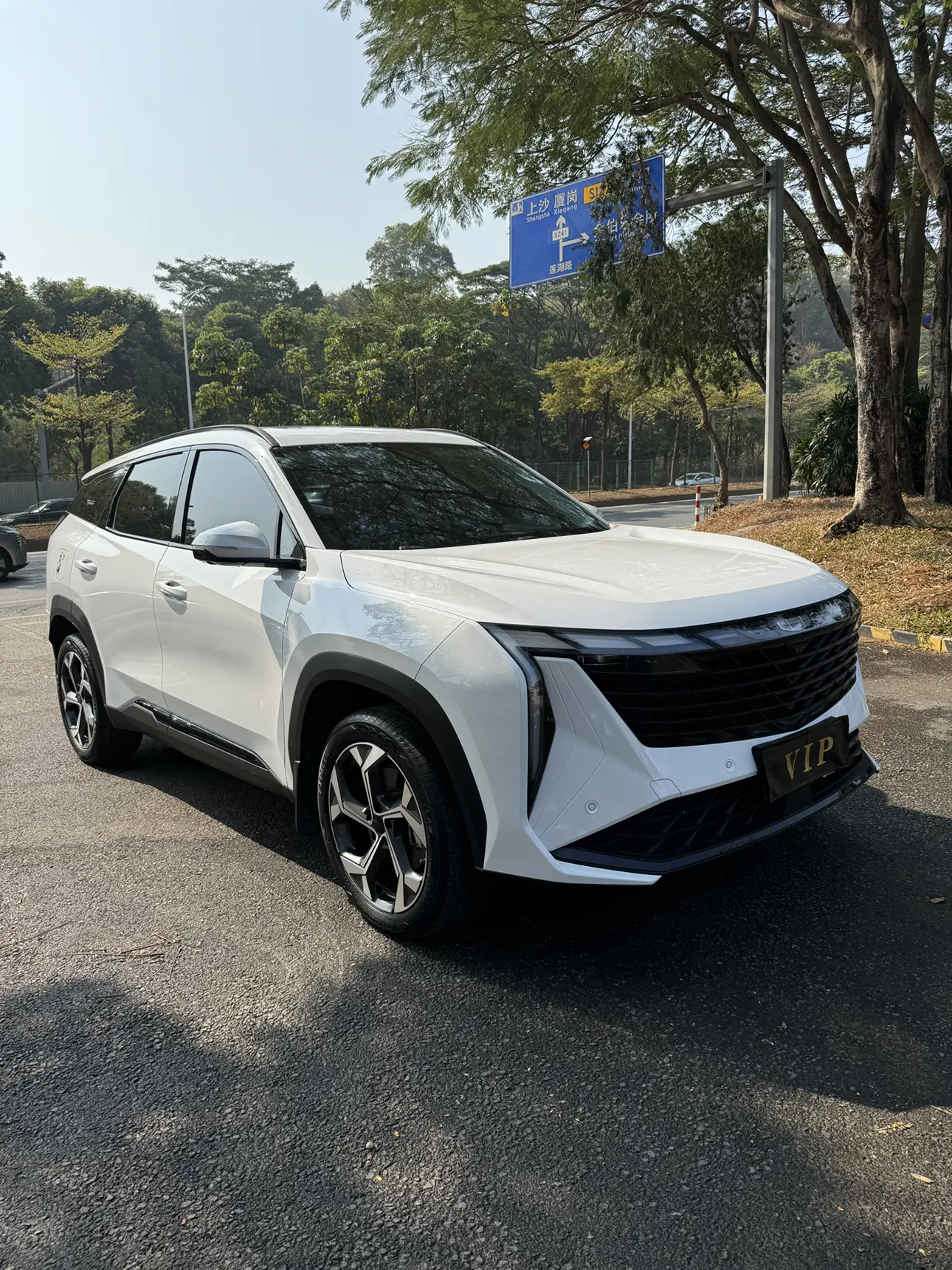 Geely Atlas L (Boyue L)  из Китая