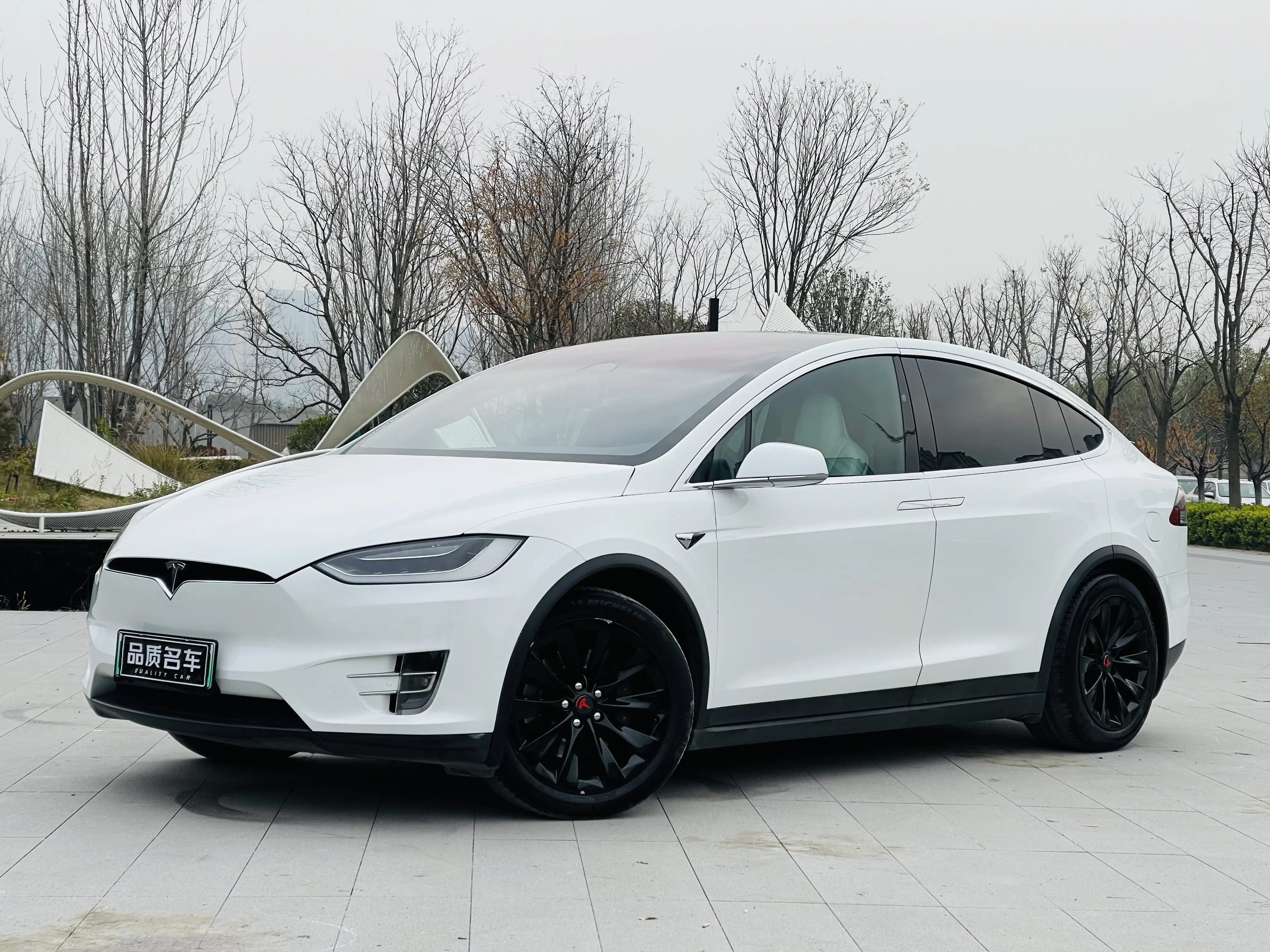 Tesla Model X  из Китая