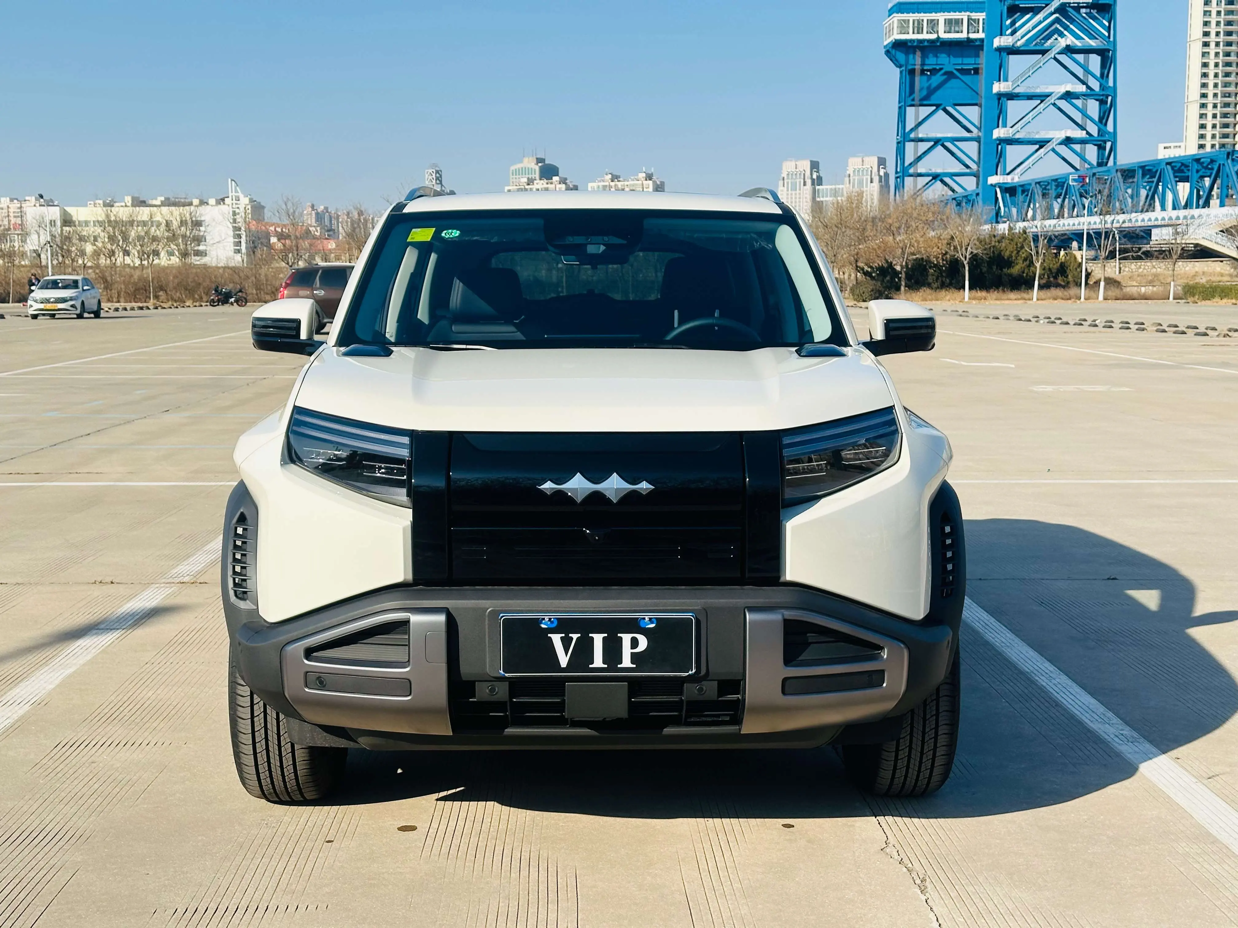 BYD Leopard Titanium 3  из Китая