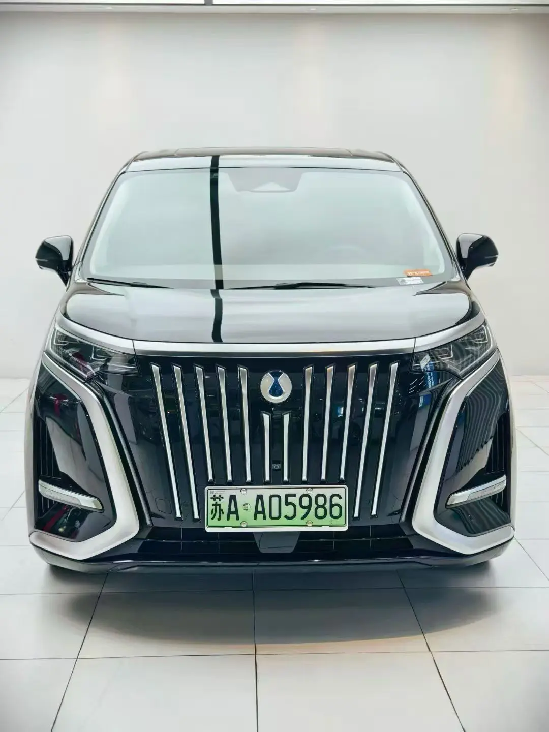 Denza D9 EV  из Китая