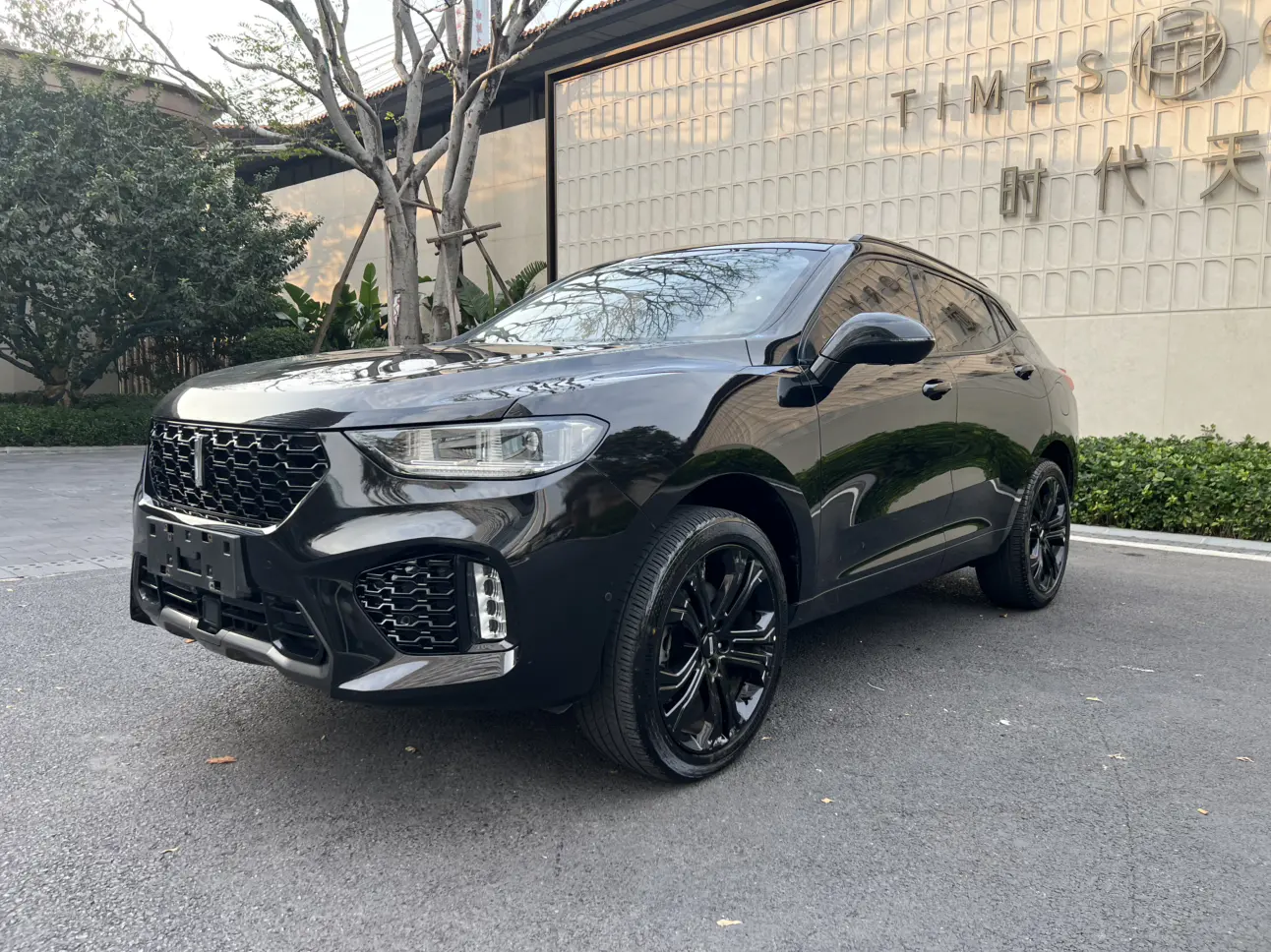 Wey Wei brand VV5  из Китая