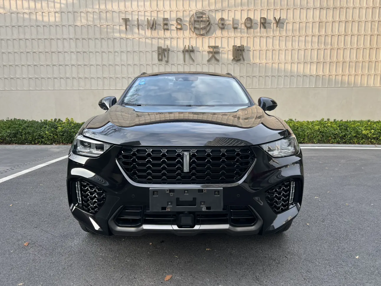 Wey Wei brand VV5  из Китая