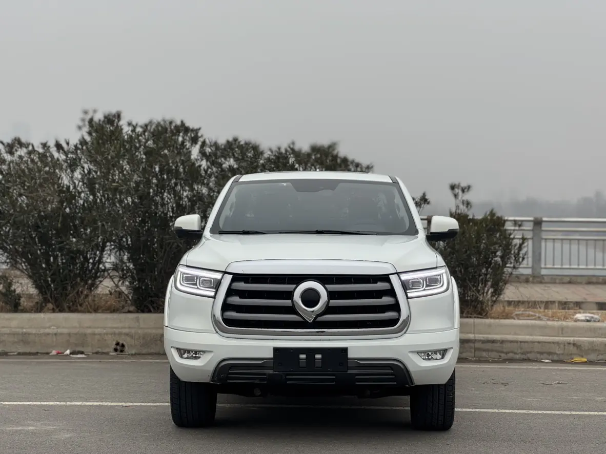 Great Wall Gun  из Китая