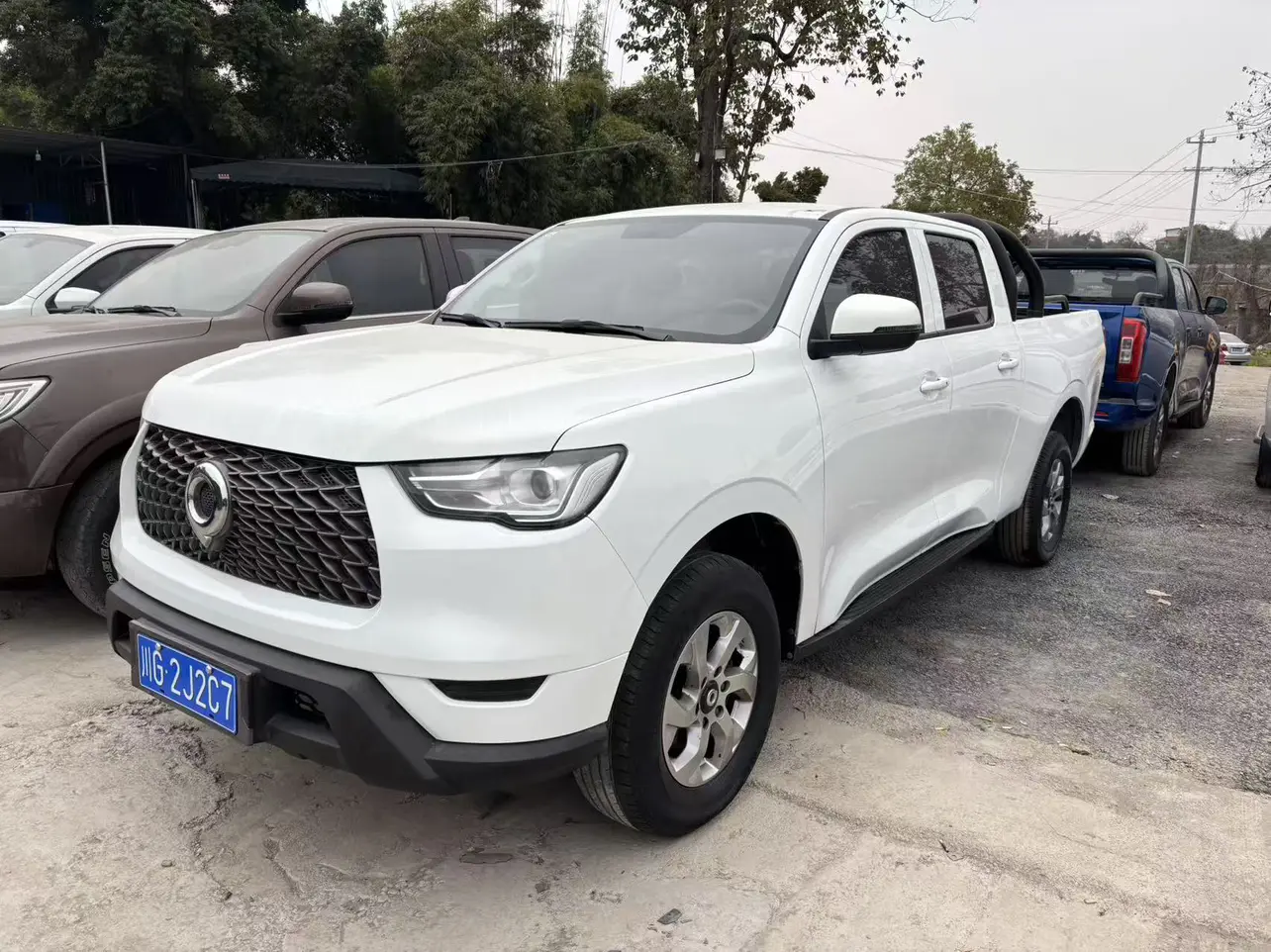 Great Wall Gun  из Китая