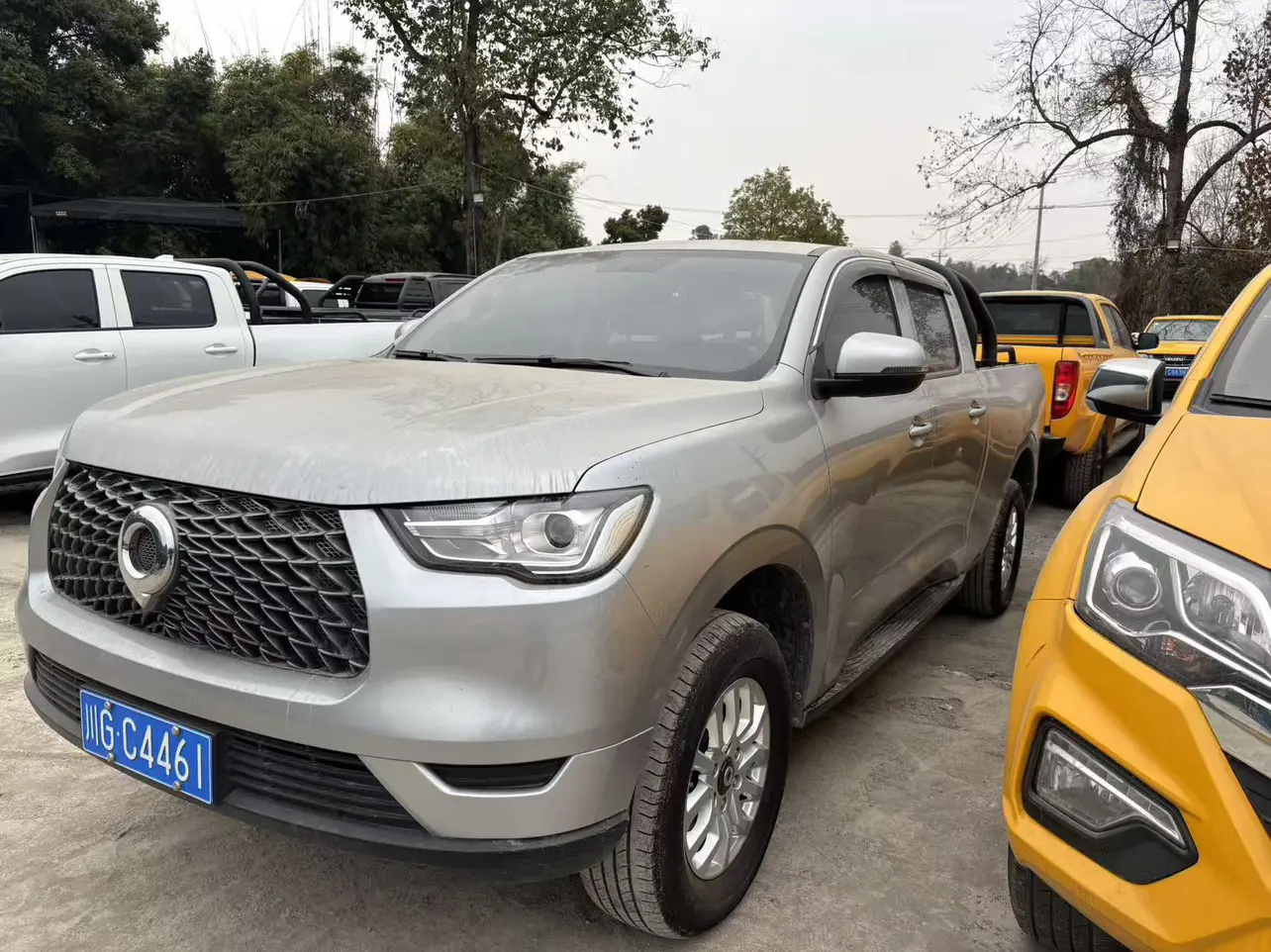 Great Wall Gun  из Китая