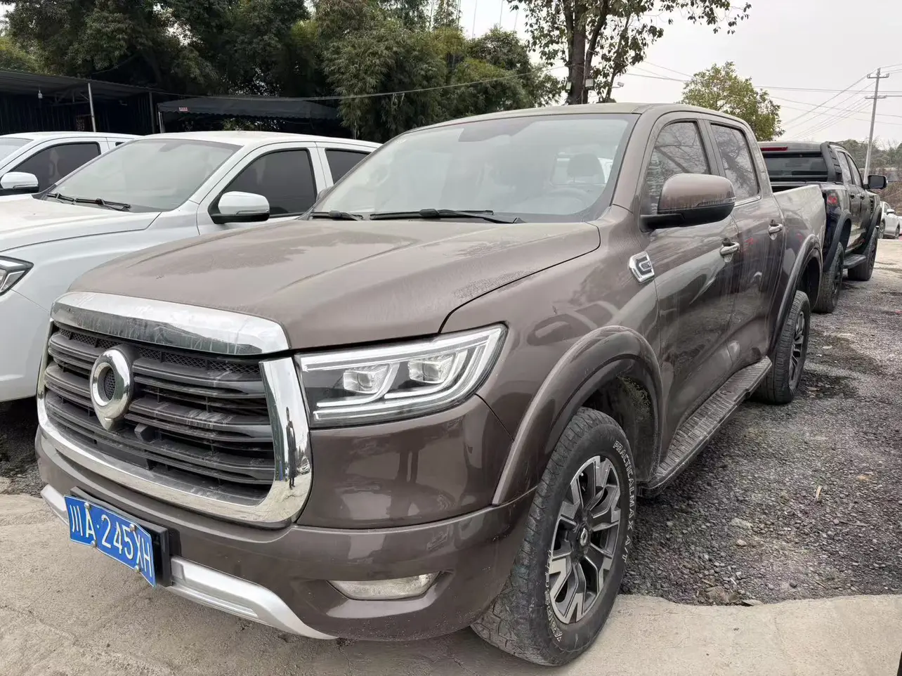 Great Wall Gun  из Китая