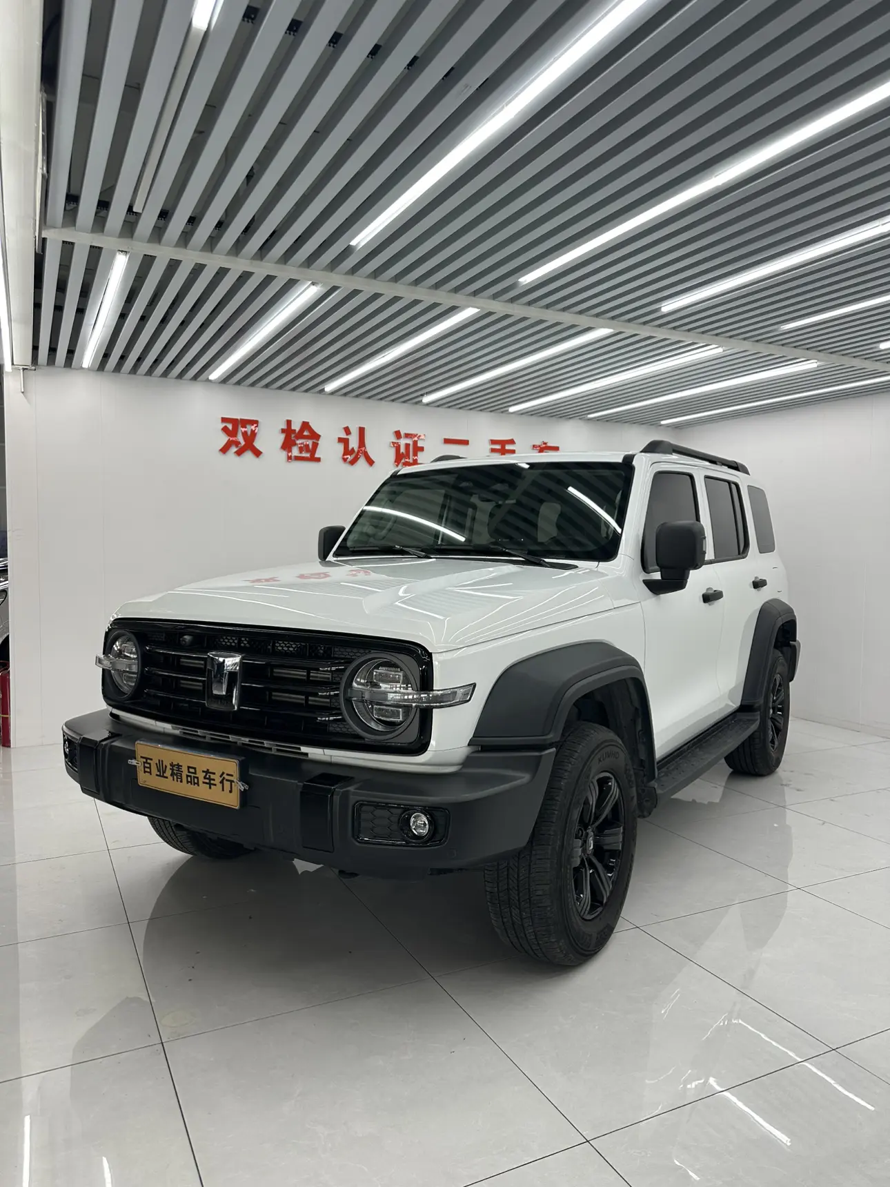 Tank 300  из Китая