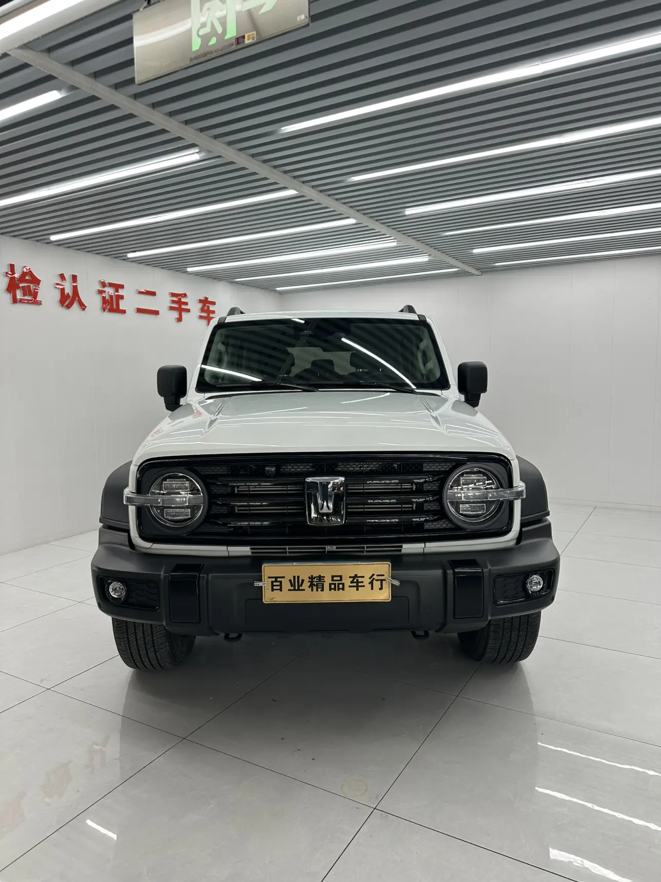 Tank 300  из Китая