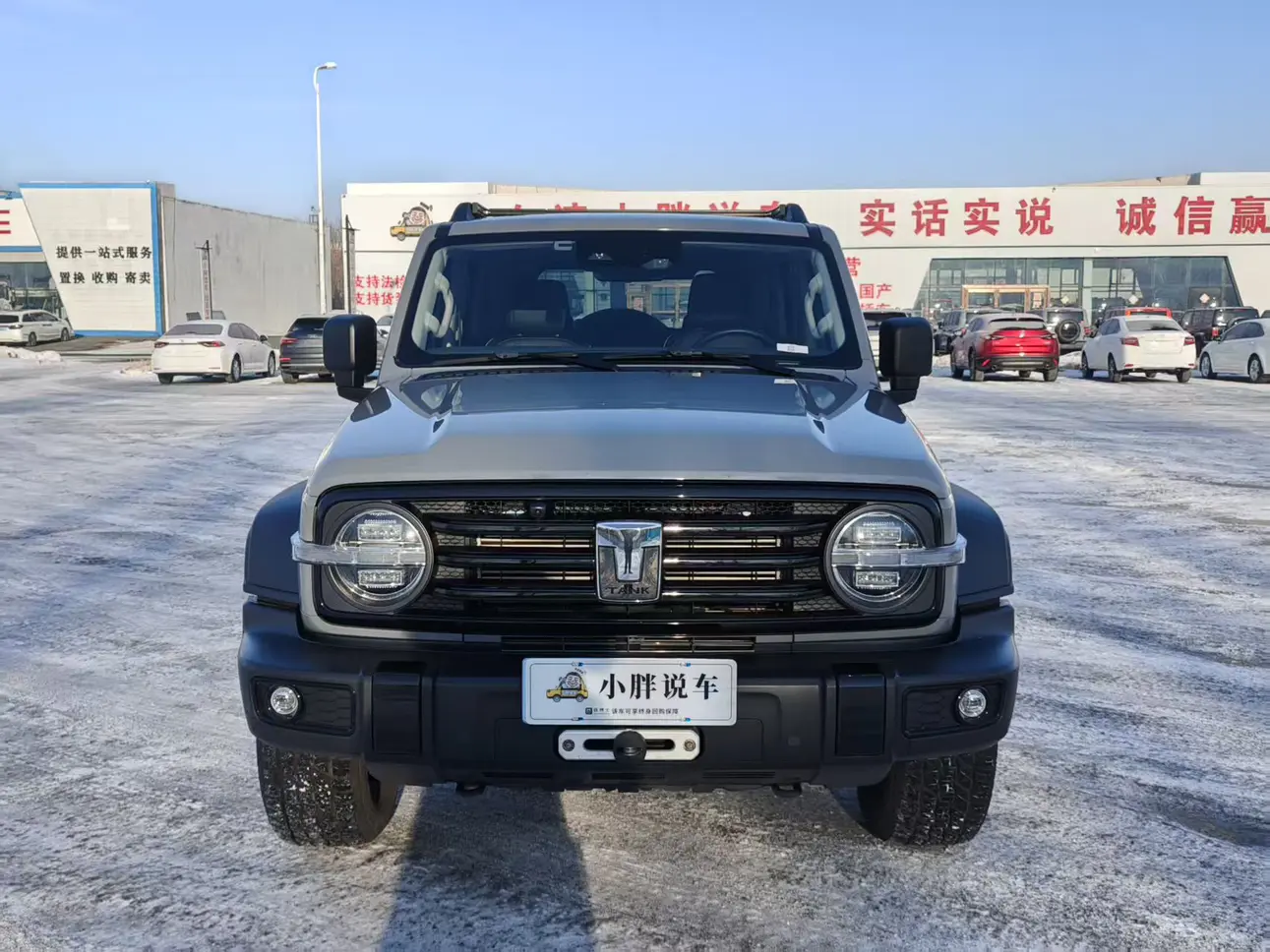 Tank 300  из Китая