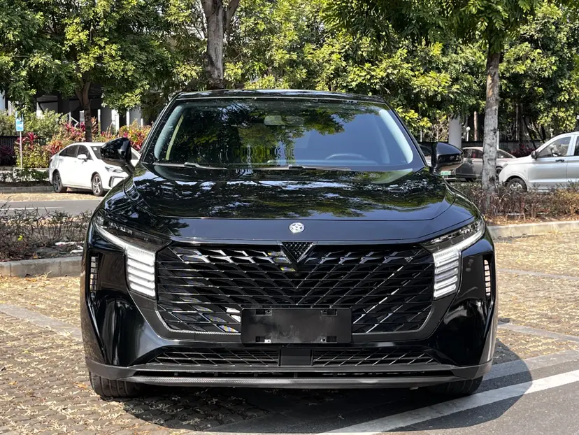 Kai Chen Venucia Big V  из Китая