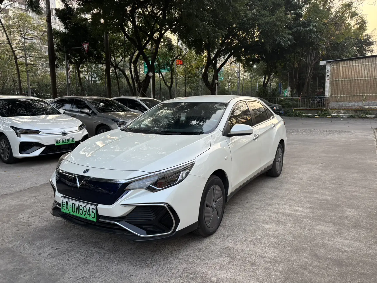 Kai Chen Venucia D60 EV  из Китая