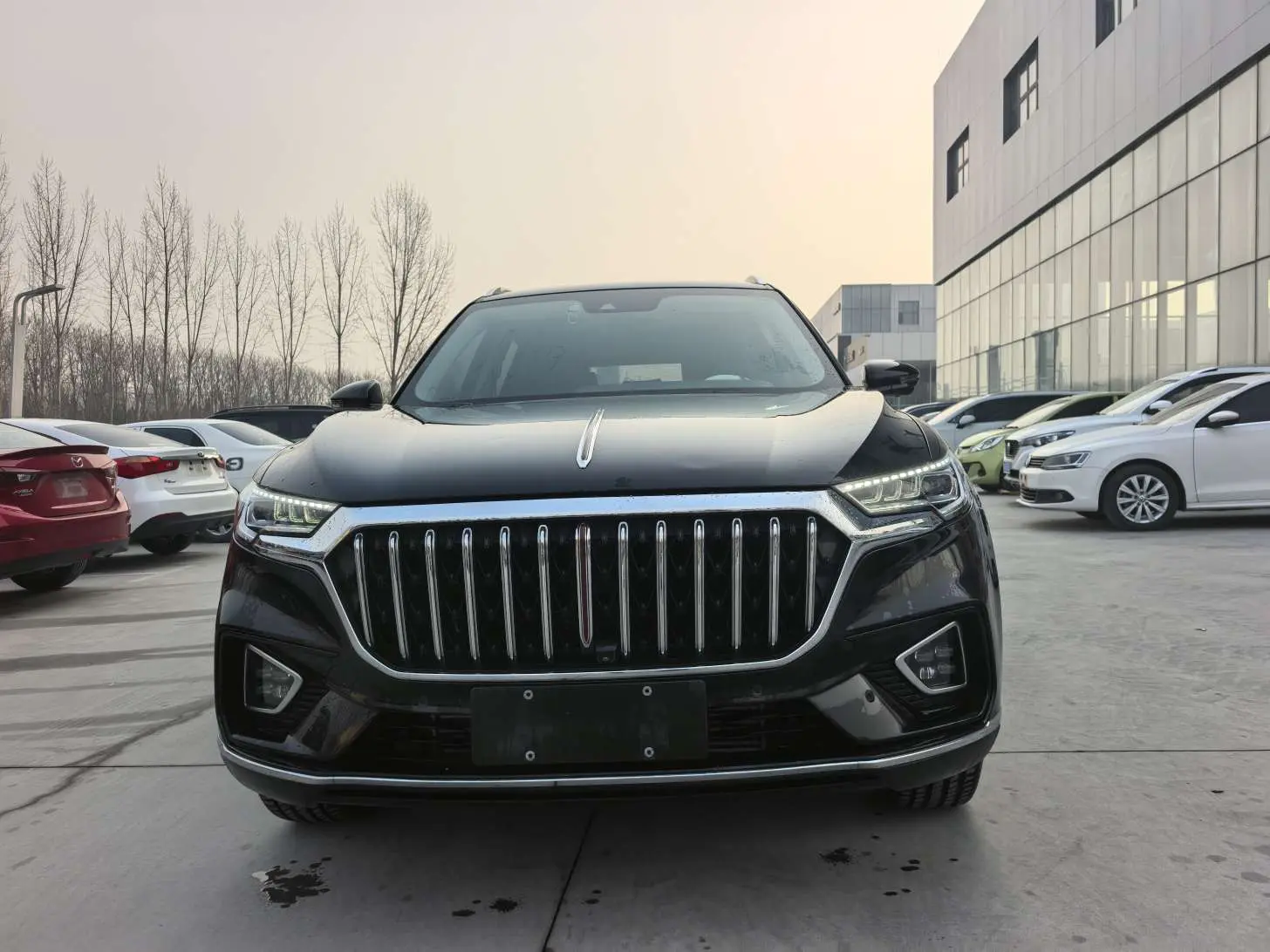 Hongqi HS5  из Китая