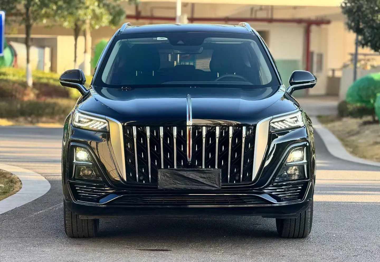 Hongqi HS5  из Китая