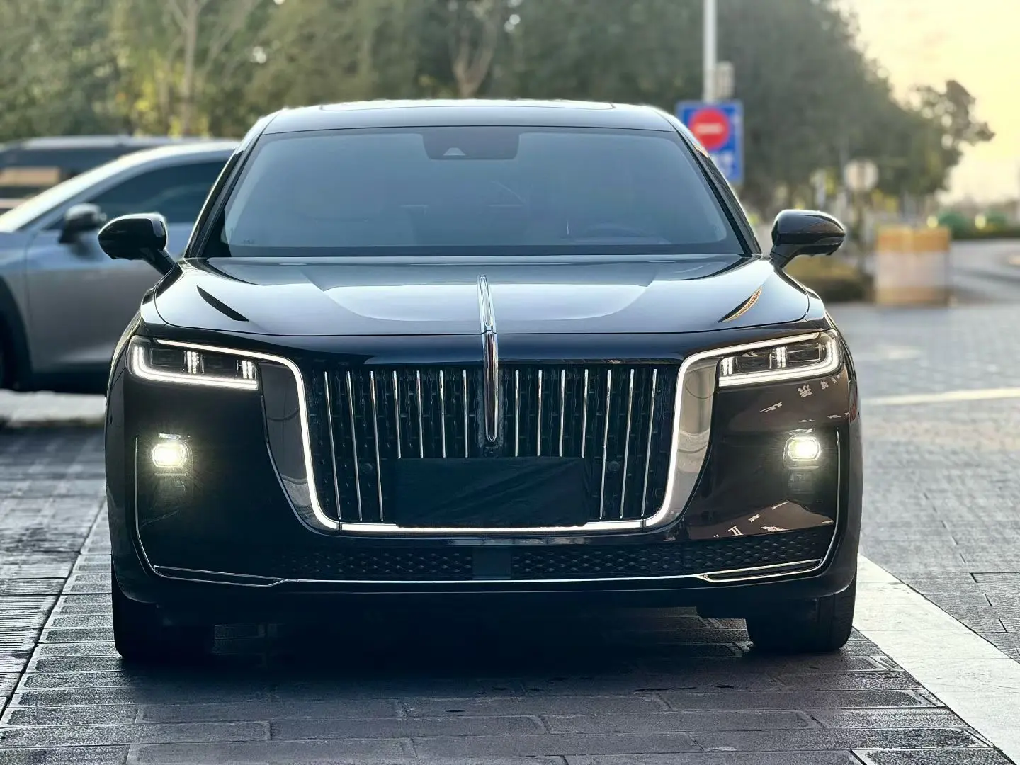 Hongqi H9  из Китая