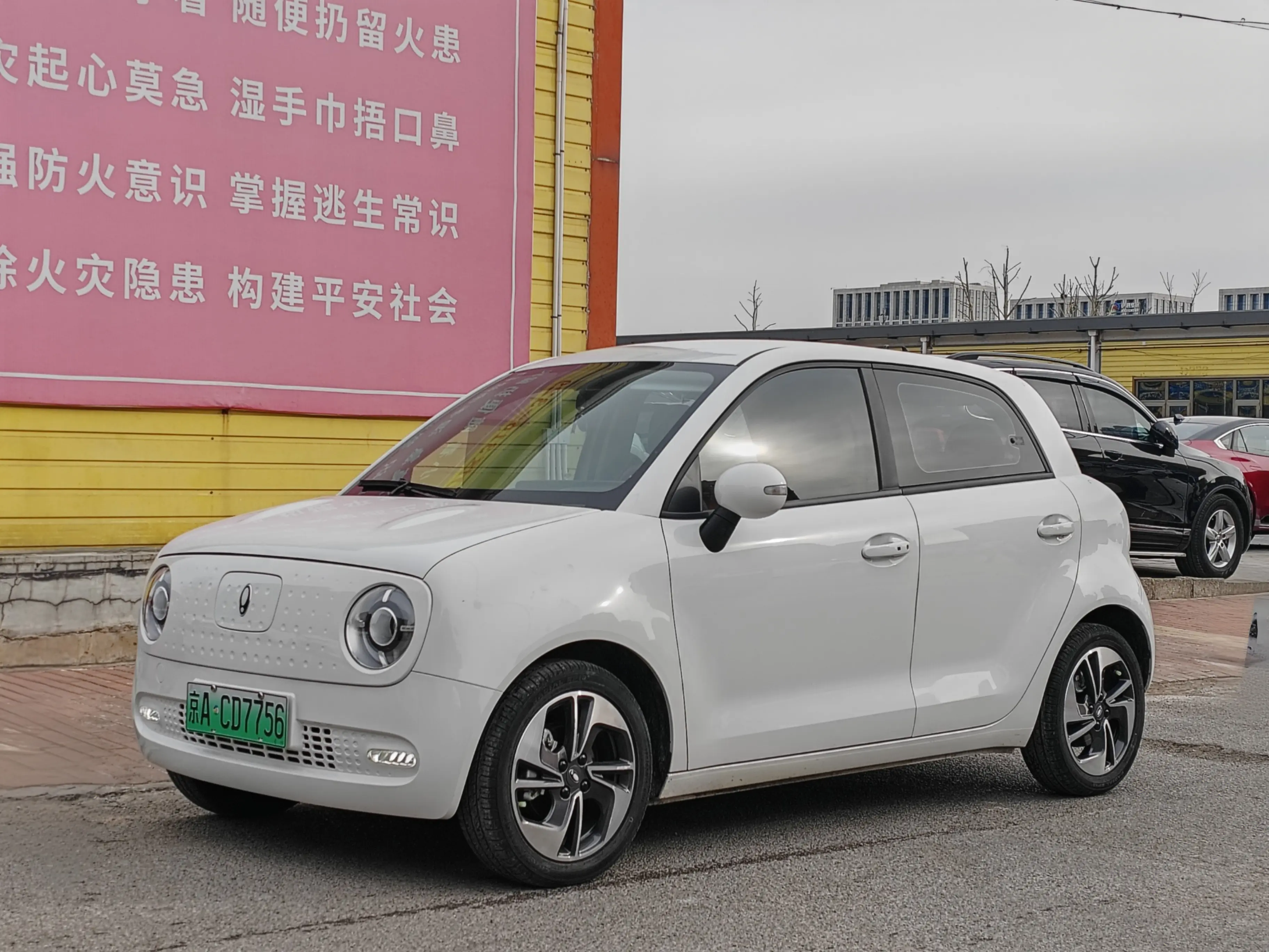 ORA Euler black cat  из Китая