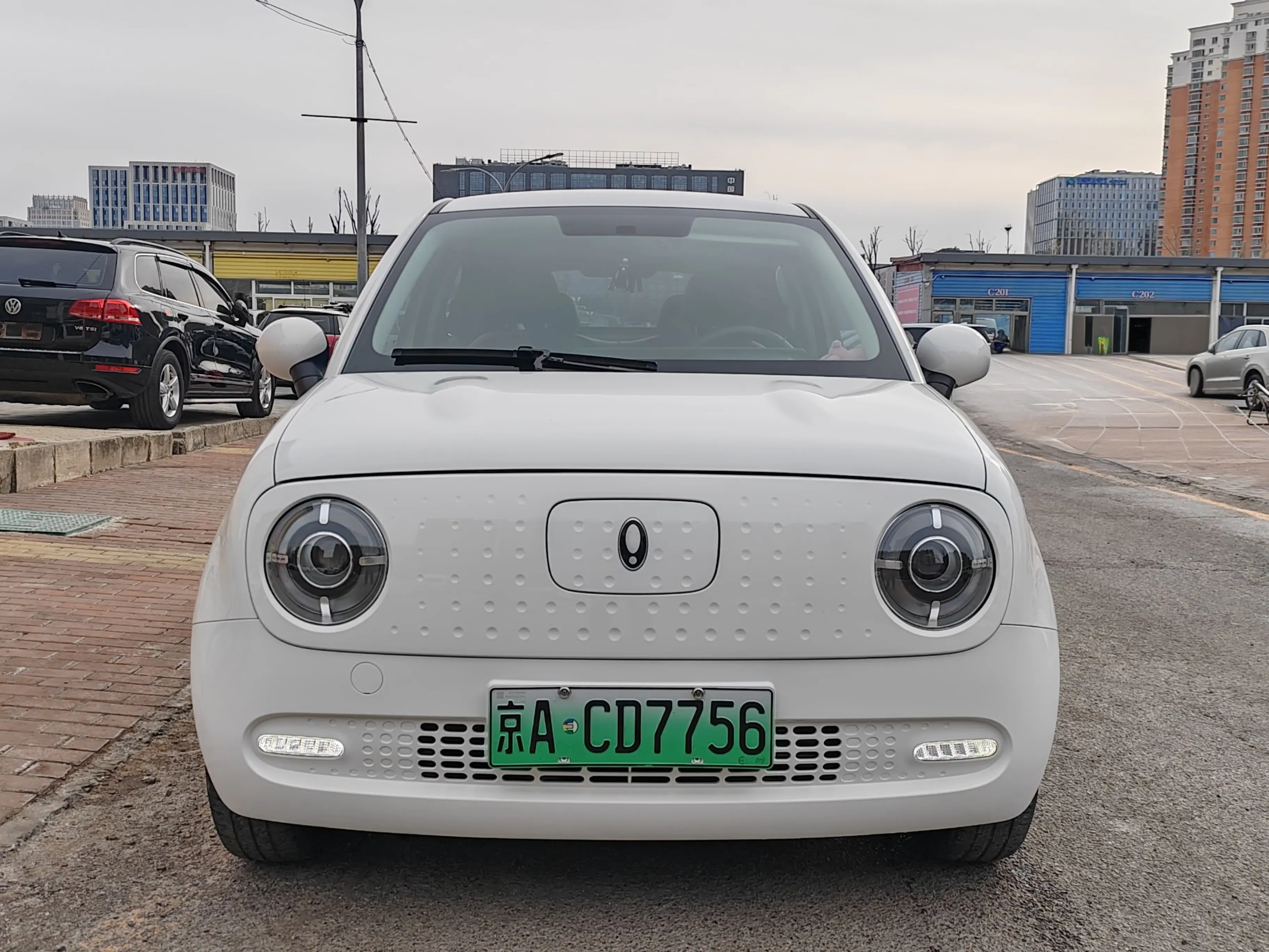 ORA Euler black cat  из Китая