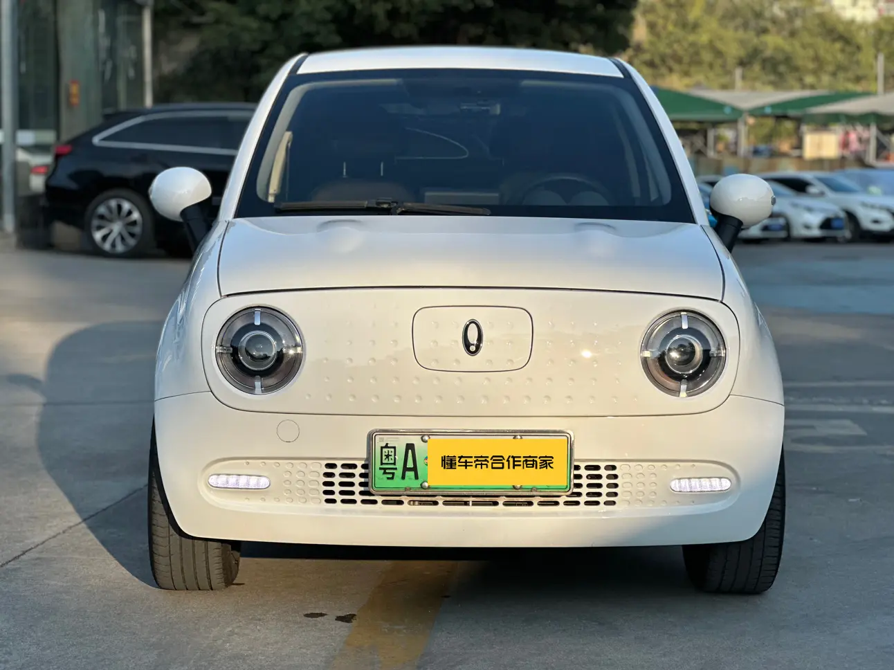 ORA Euler black cat  из Китая