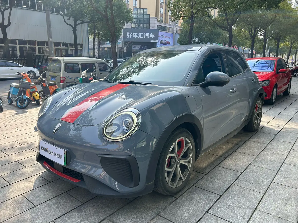 ORA Euler Good Cat GT  из Китая