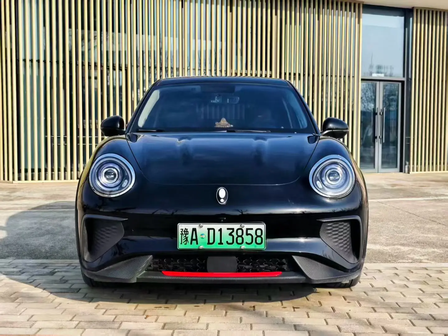 ORA Euler Good Cat GT  из Китая