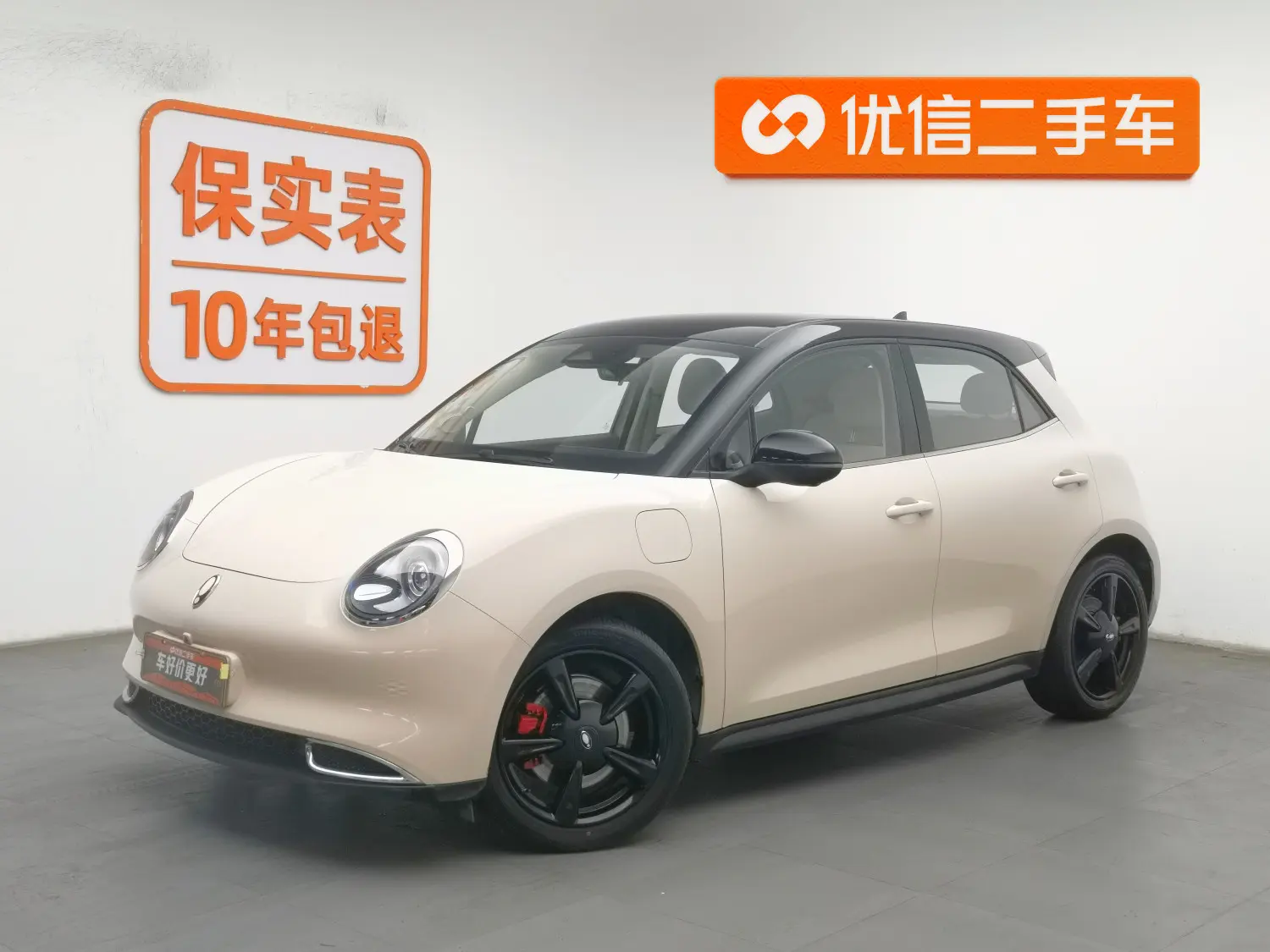 ORA Euler good cat  из Китая