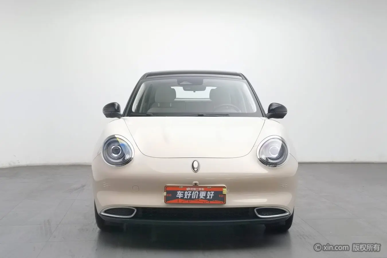 ORA Euler good cat  из Китая