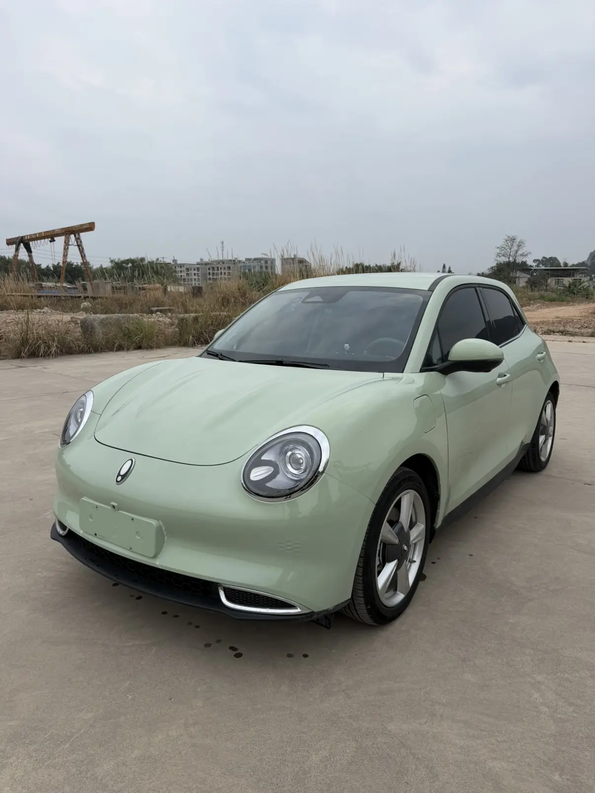 ORA Euler good cat  из Китая