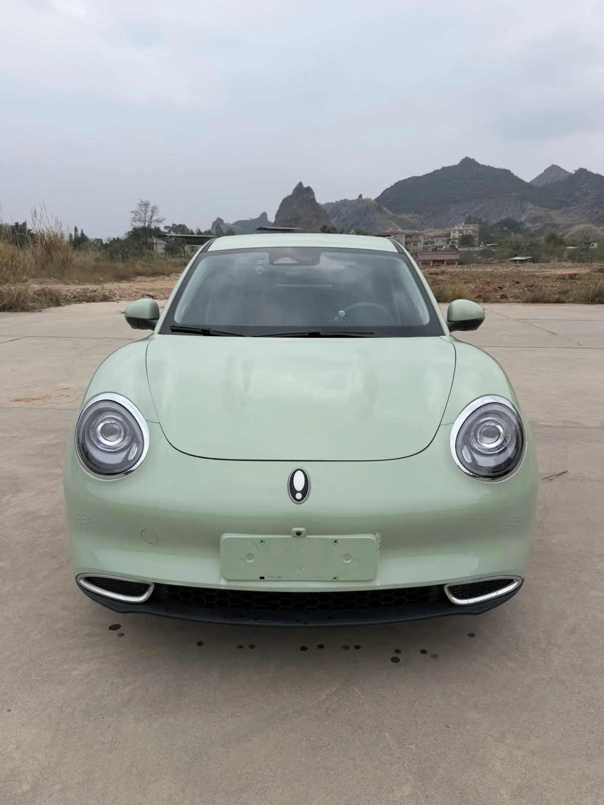 ORA Euler good cat  из Китая