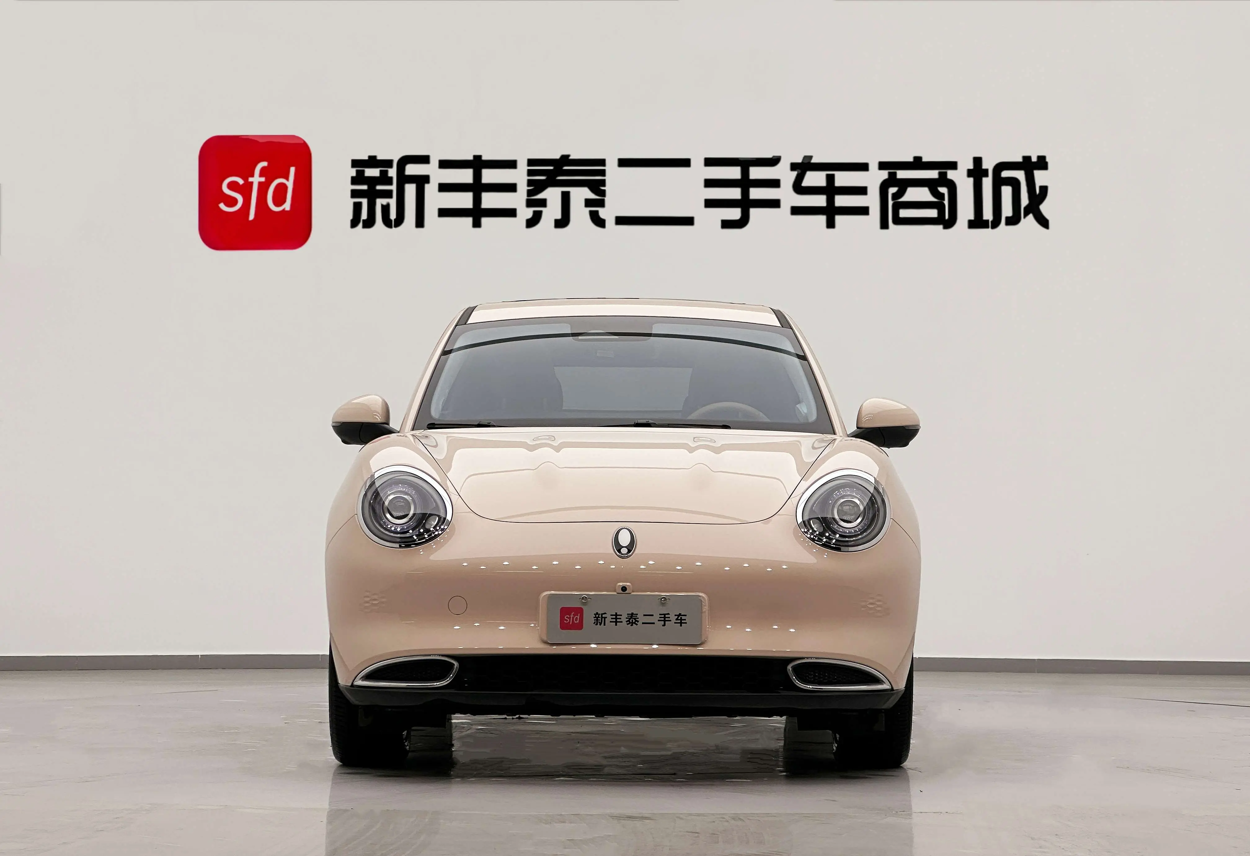 ORA Euler good cat  из Китая