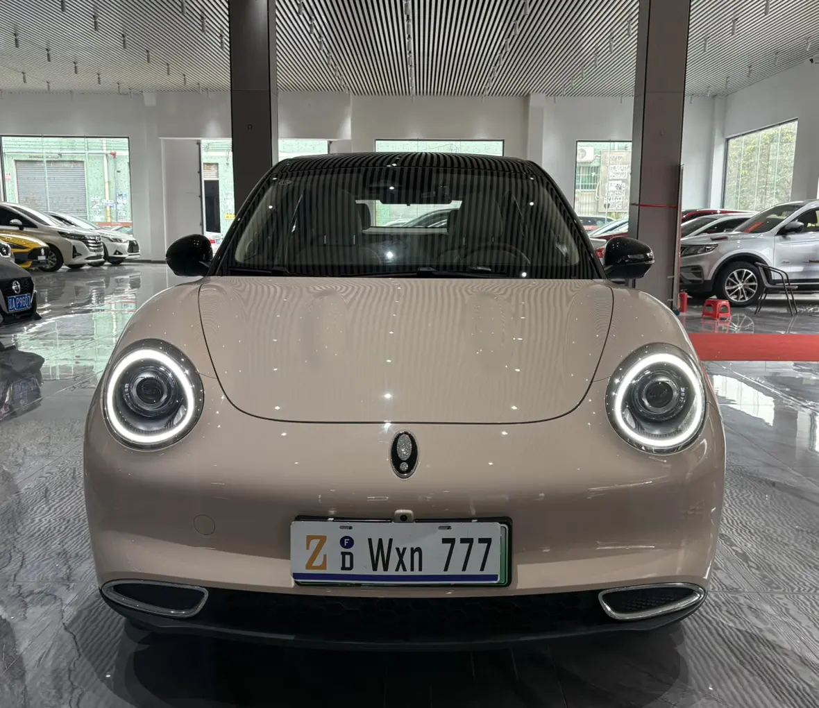 ORA Euler good cat  из Китая